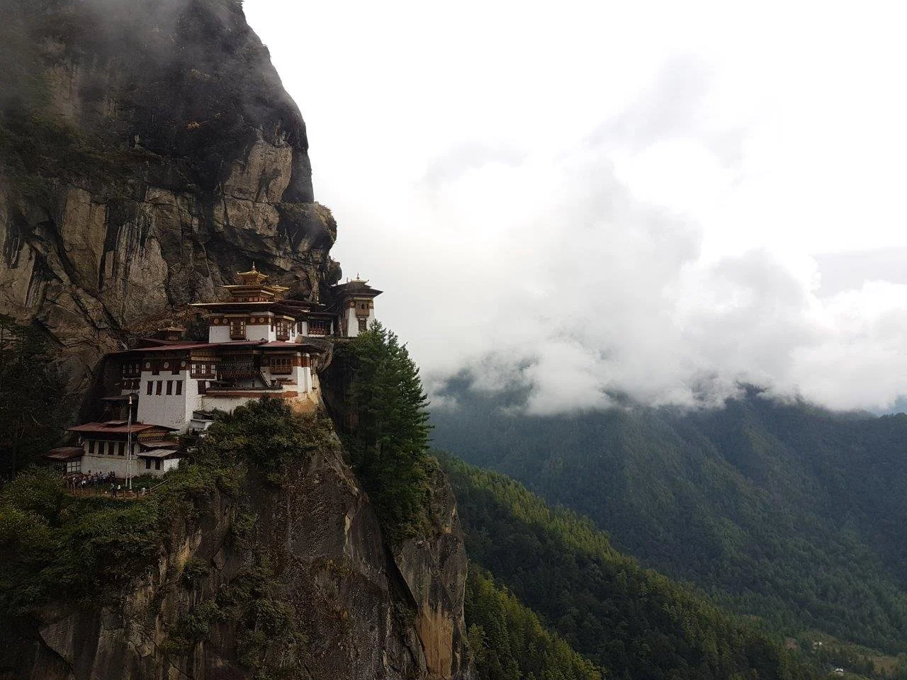 Tiger's Next Monastery