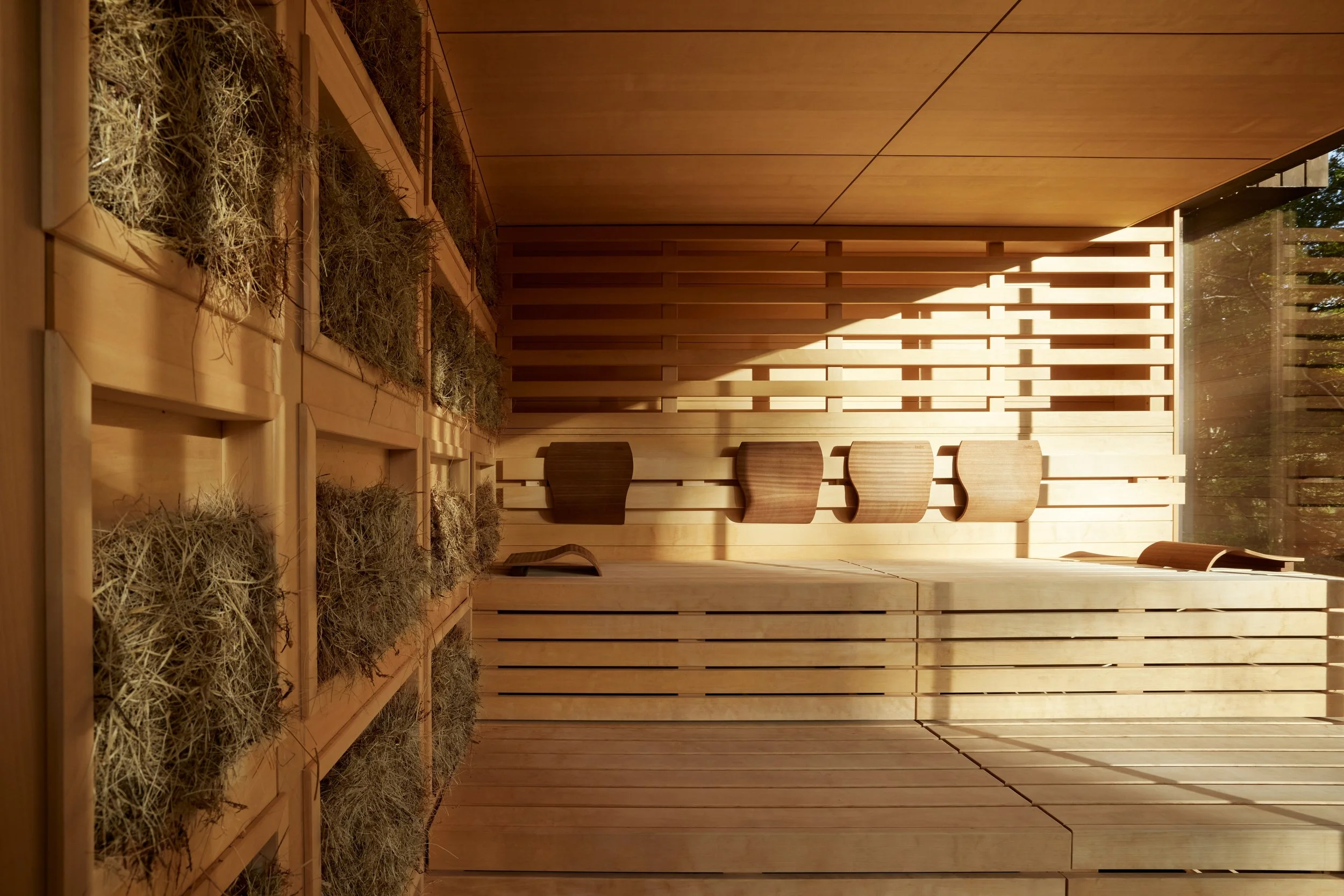 sauna2.jpeg