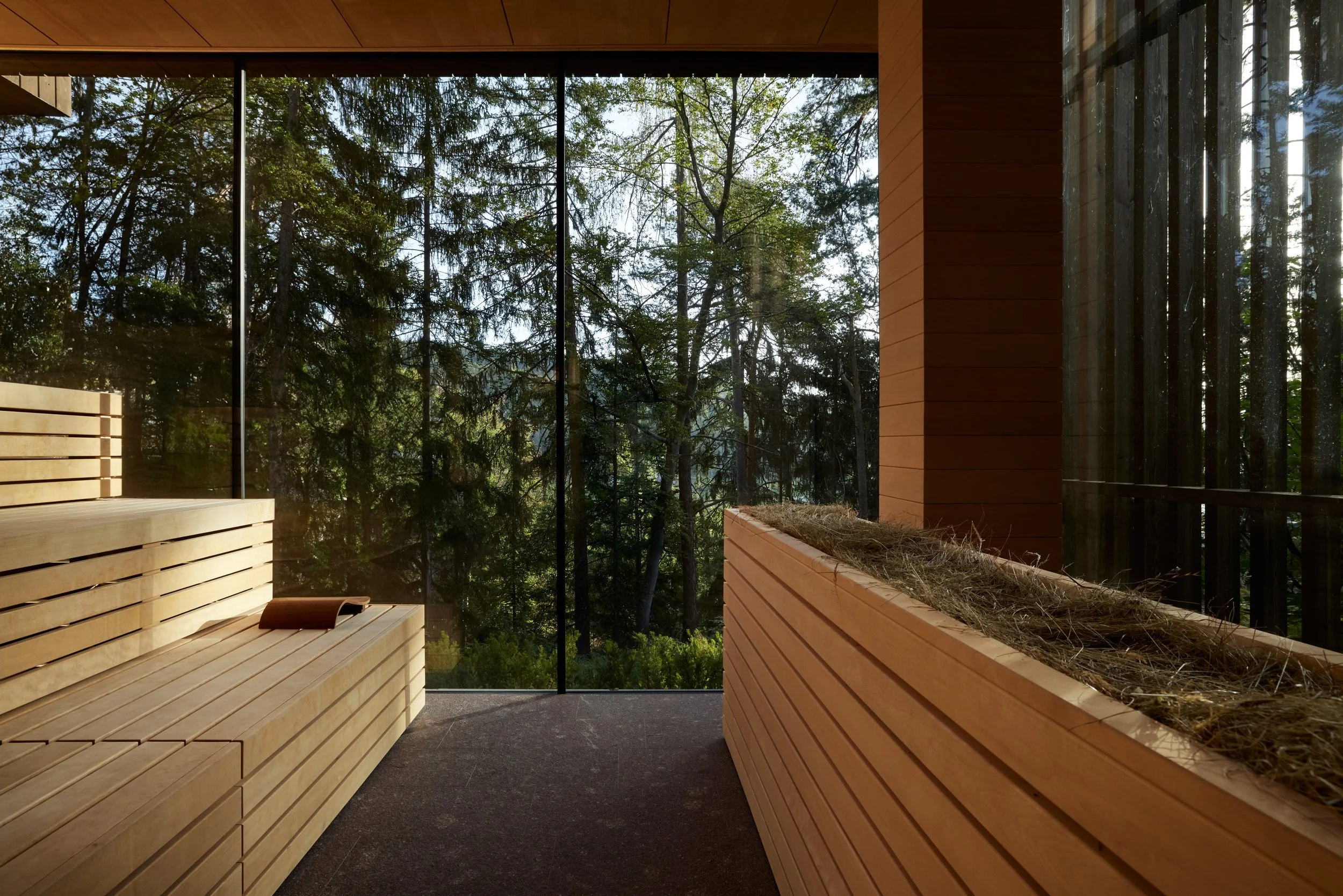 sauna1.jpeg