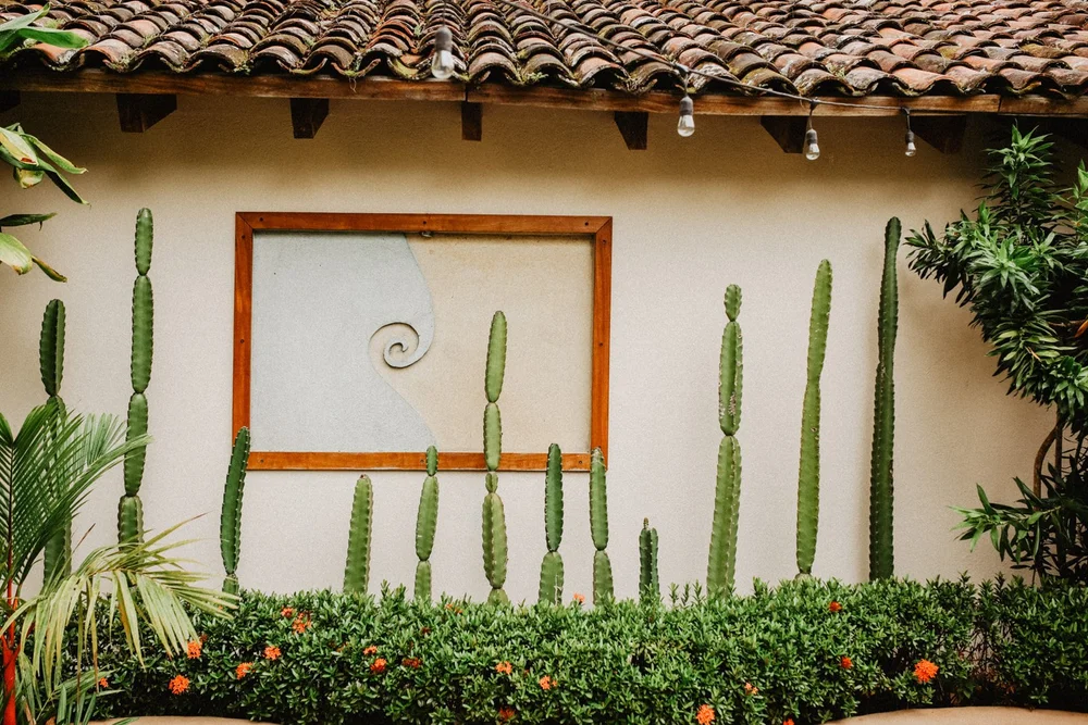Panama Yoga & Wellness Retreat — FLOW STATE Wellness Studio