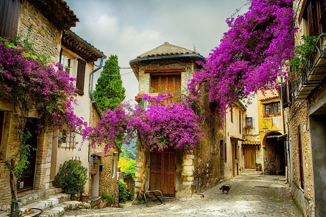 provence.jpeg