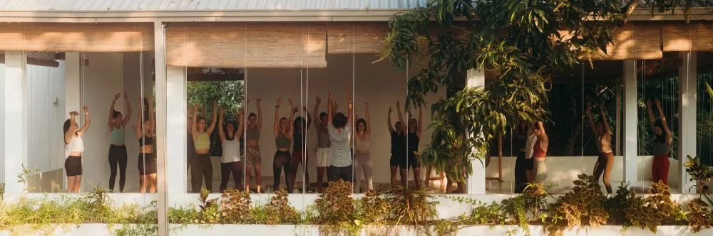 Sir Lanka yoga retreat views