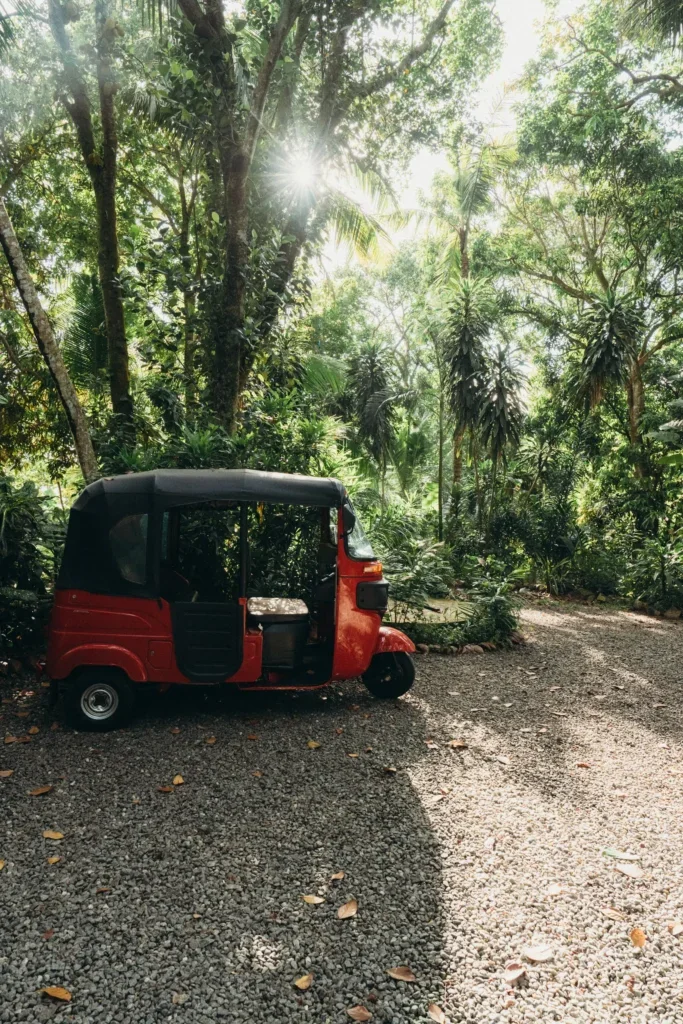 Sri Lanka Yoga Retreat 2027 tuk tuk