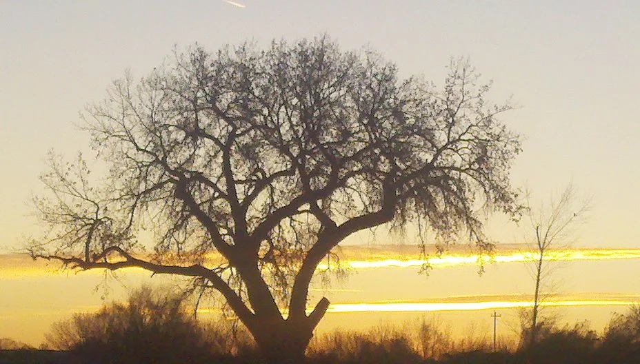 Online Payments — Boxelder Basin Regional Stormwater Authority