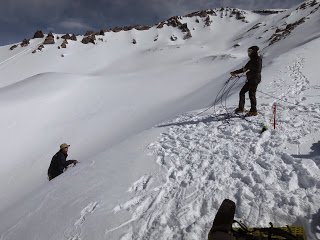 image-asset (79).jpeg