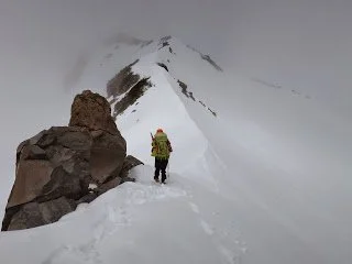 image-asset (77).jpeg