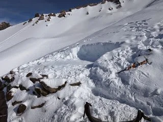 image-asset (78).jpeg