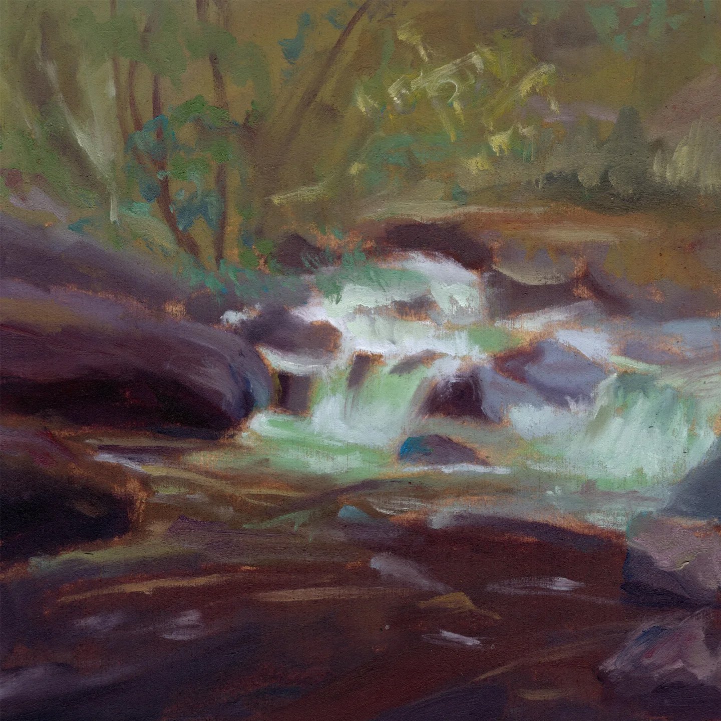 Schmid study
