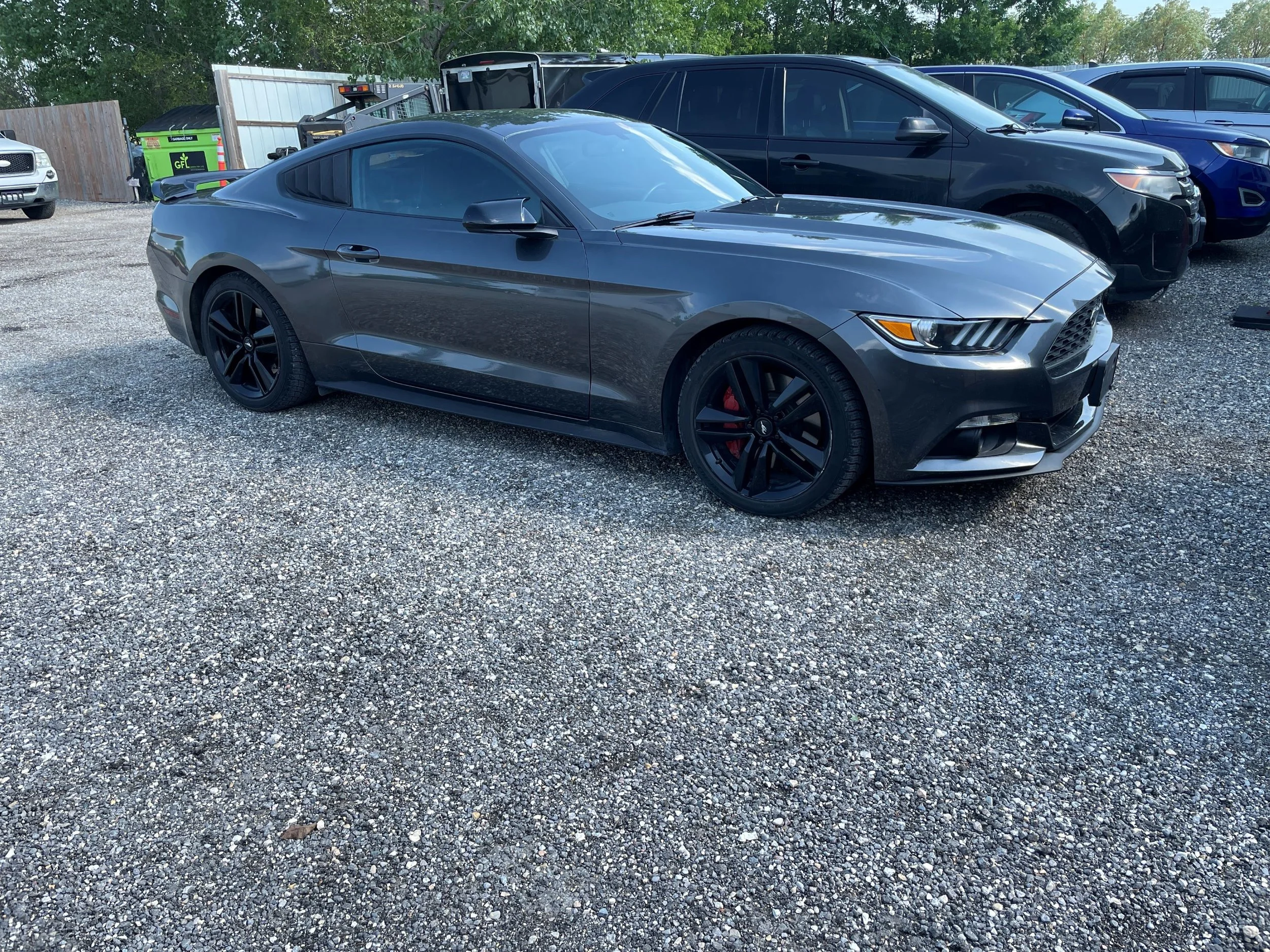 FORD MUSTANG
