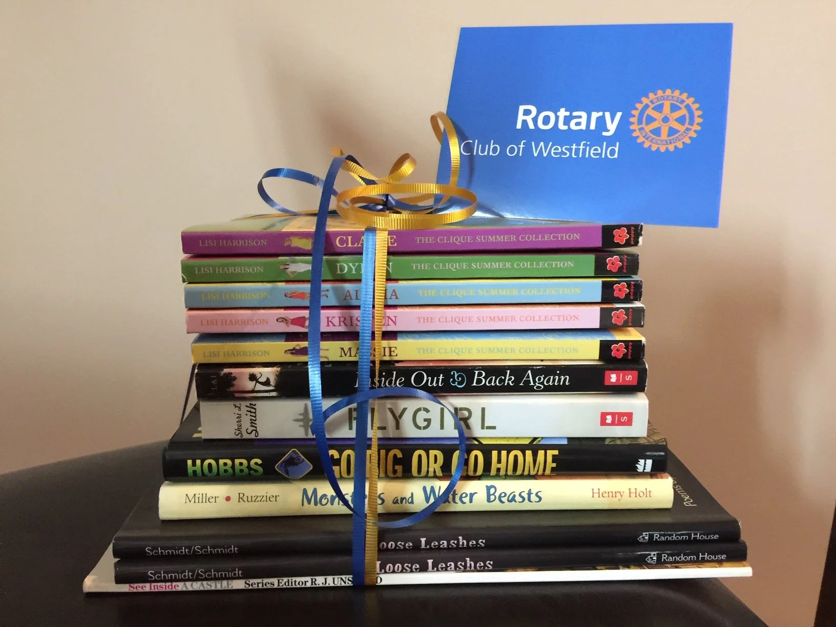 Library Book Donation 2.jpeg