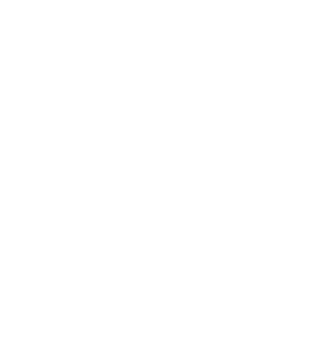 Tiger Stripe Web Design