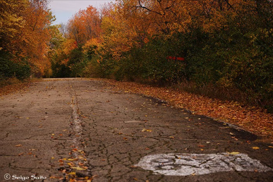 Memory Lane in Autumn, Circa 2024, Source: Seigo Saito via Facebook