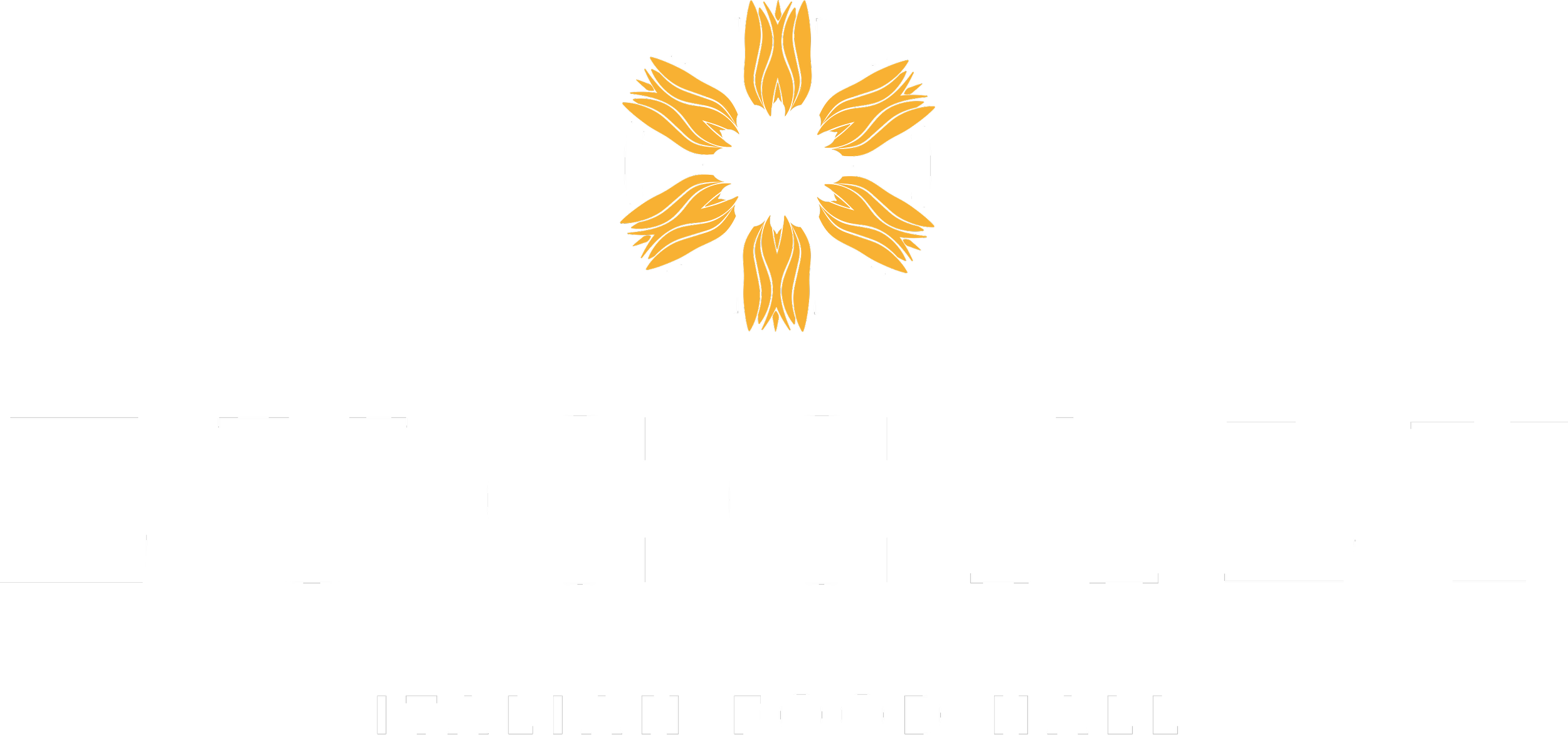 Black background with the Zucaly Italian Food Hall logo: a stylized flower with orange petals and a white outline, and the name 'Zuccaly' in white capital letters below, with the subtitle 'Italian Food Hall'.