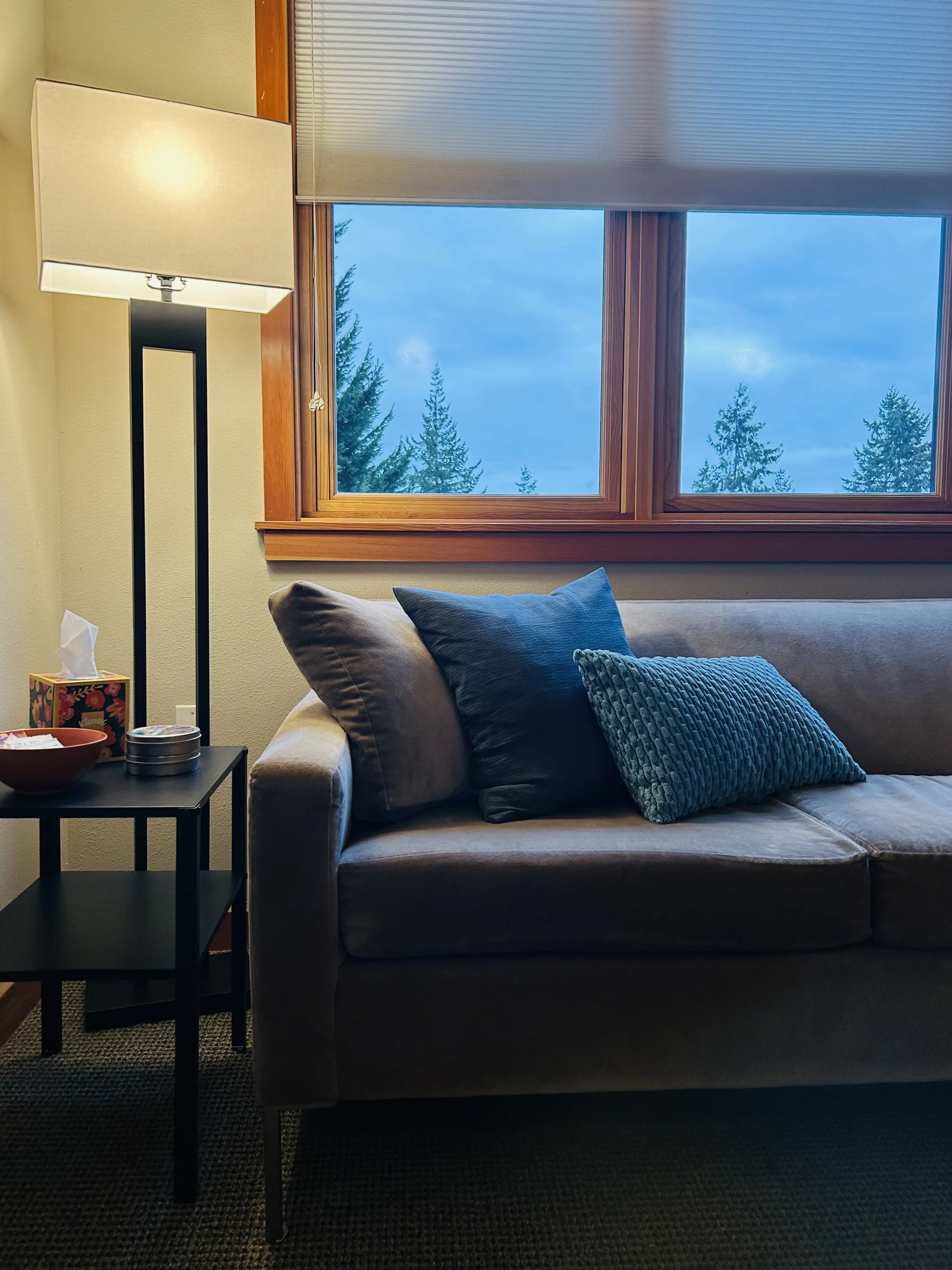 Image of therapy and counseling office on Bainbridge Island, overlooking the trees and downtown Winslow. Location near ferry with free parking.