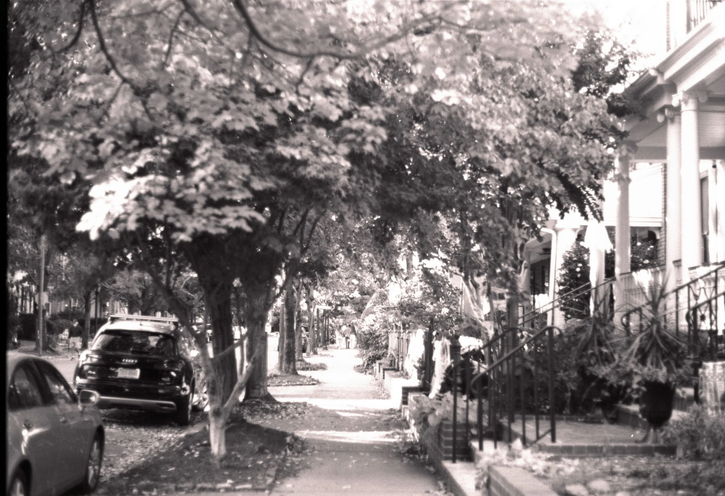 2_Untitled (22) copy.jpg