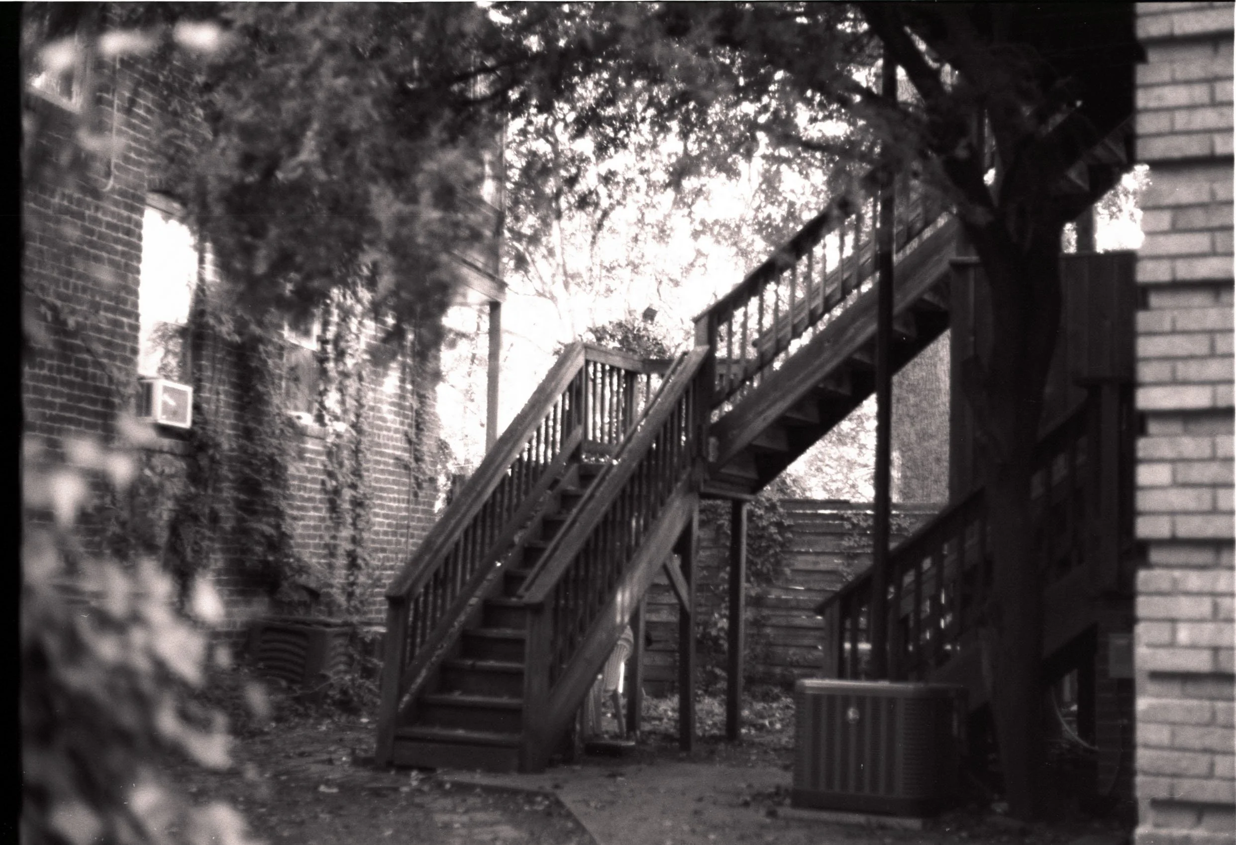 2_Untitled (29) copy.jpg