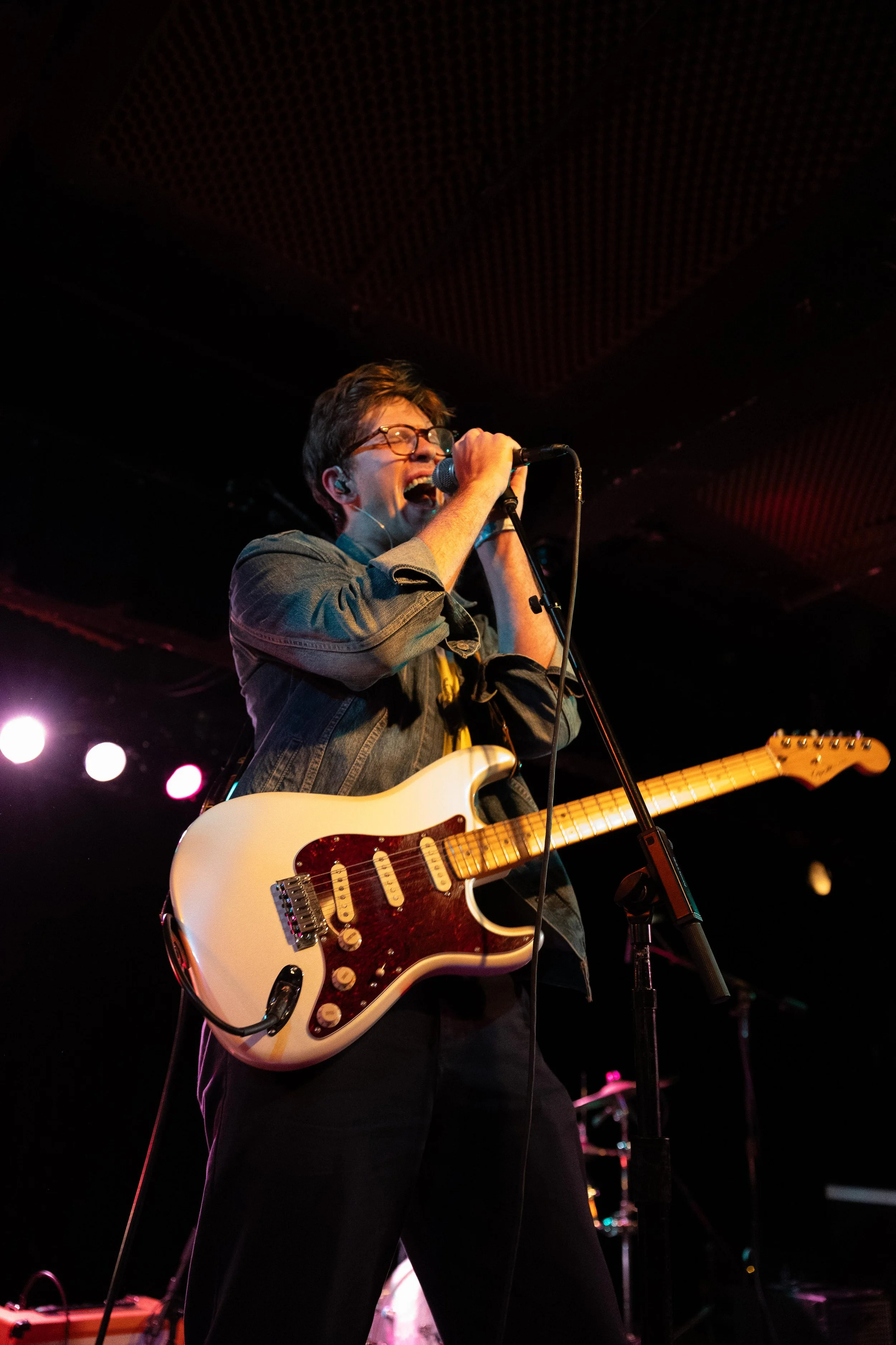 tccb_black cat_1081.jpg