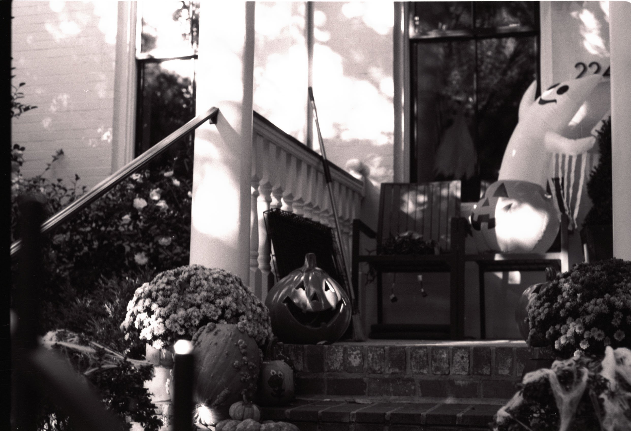 2_Untitled (26) copy.jpg