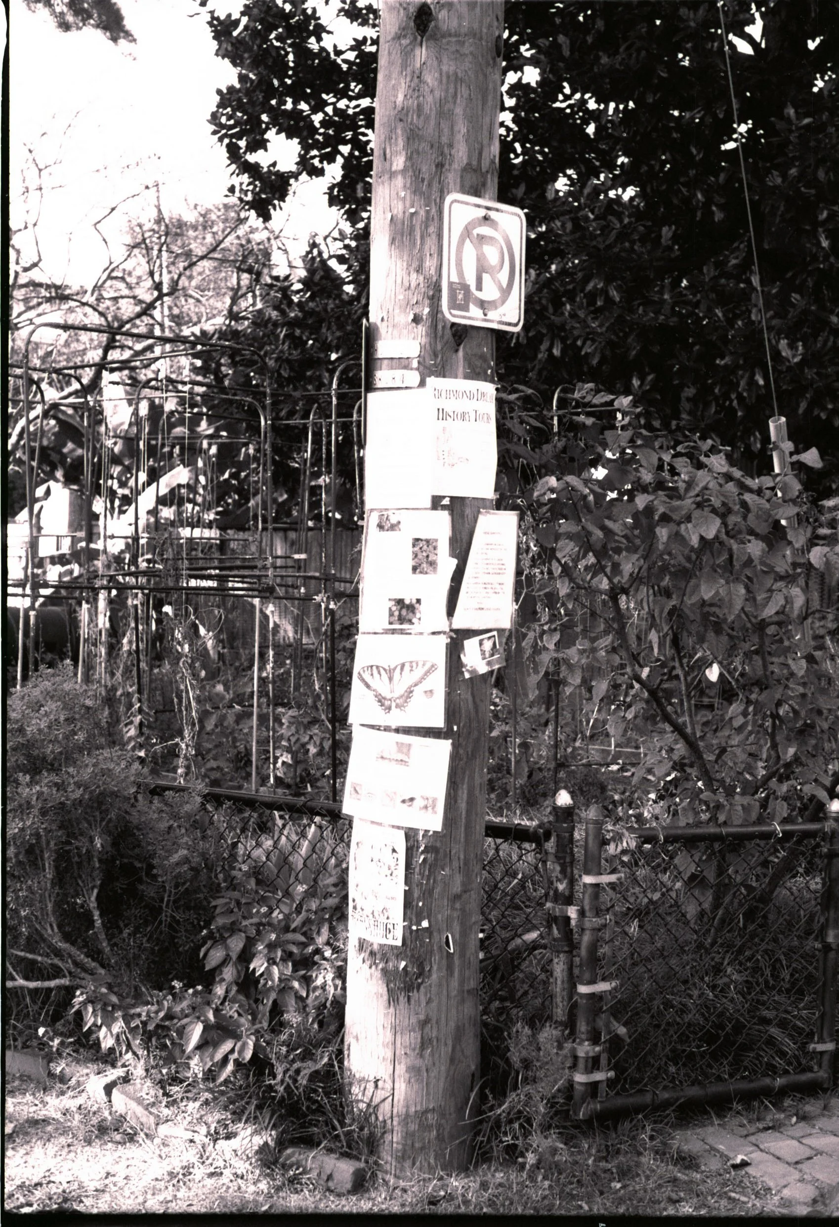 2_Untitled (34) copy.jpg