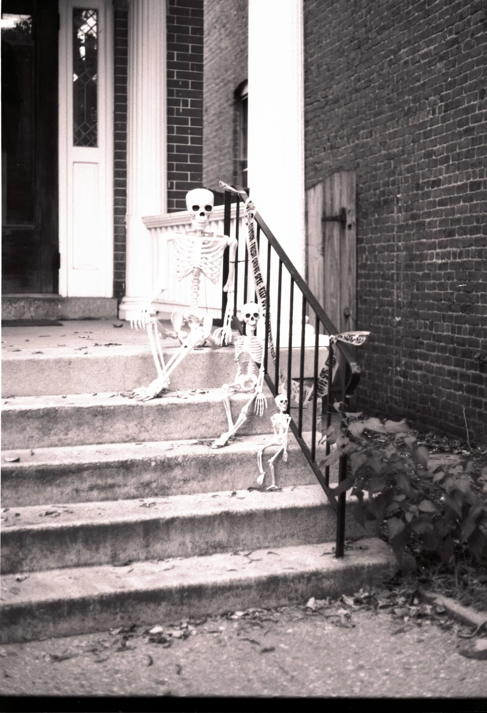 2_Untitled (21) copy.jpg