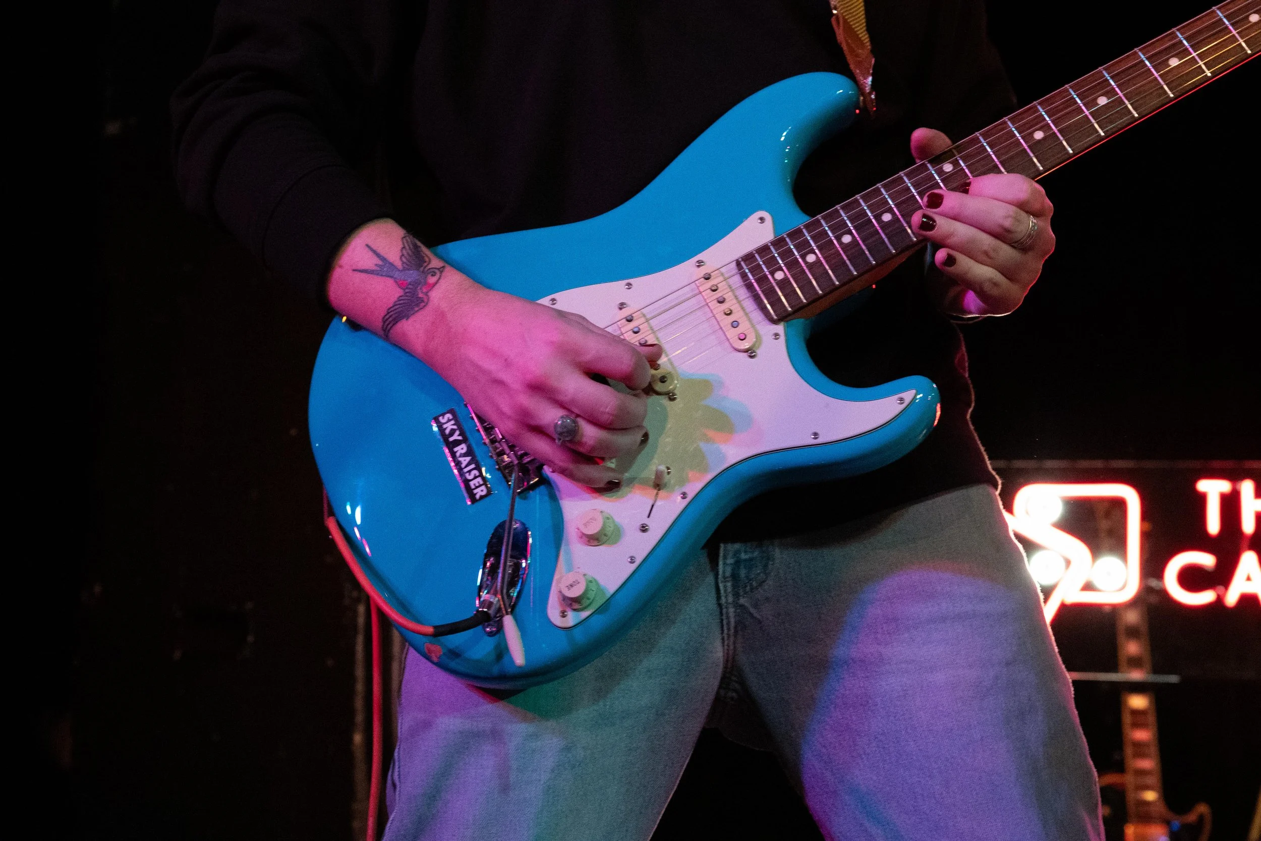 tccb_black cat_334.jpg