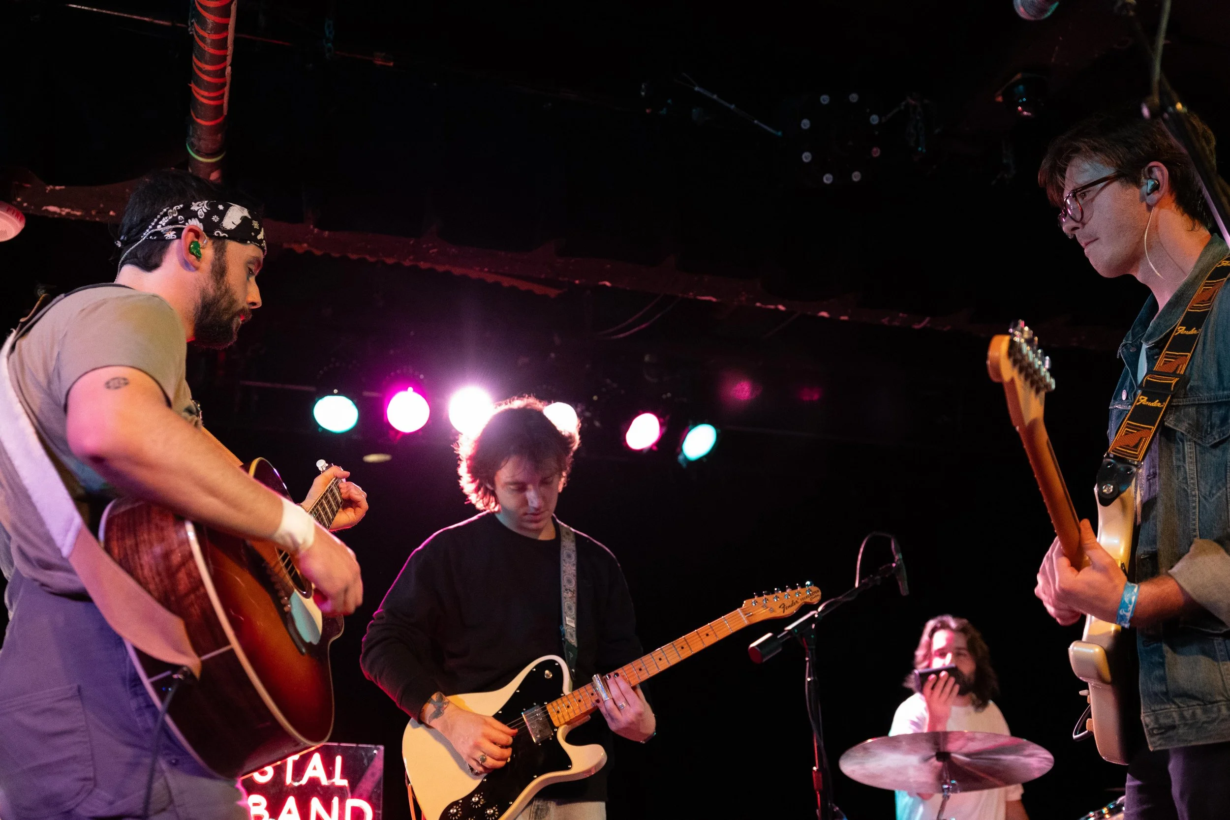 tccb_black cat_583.jpg