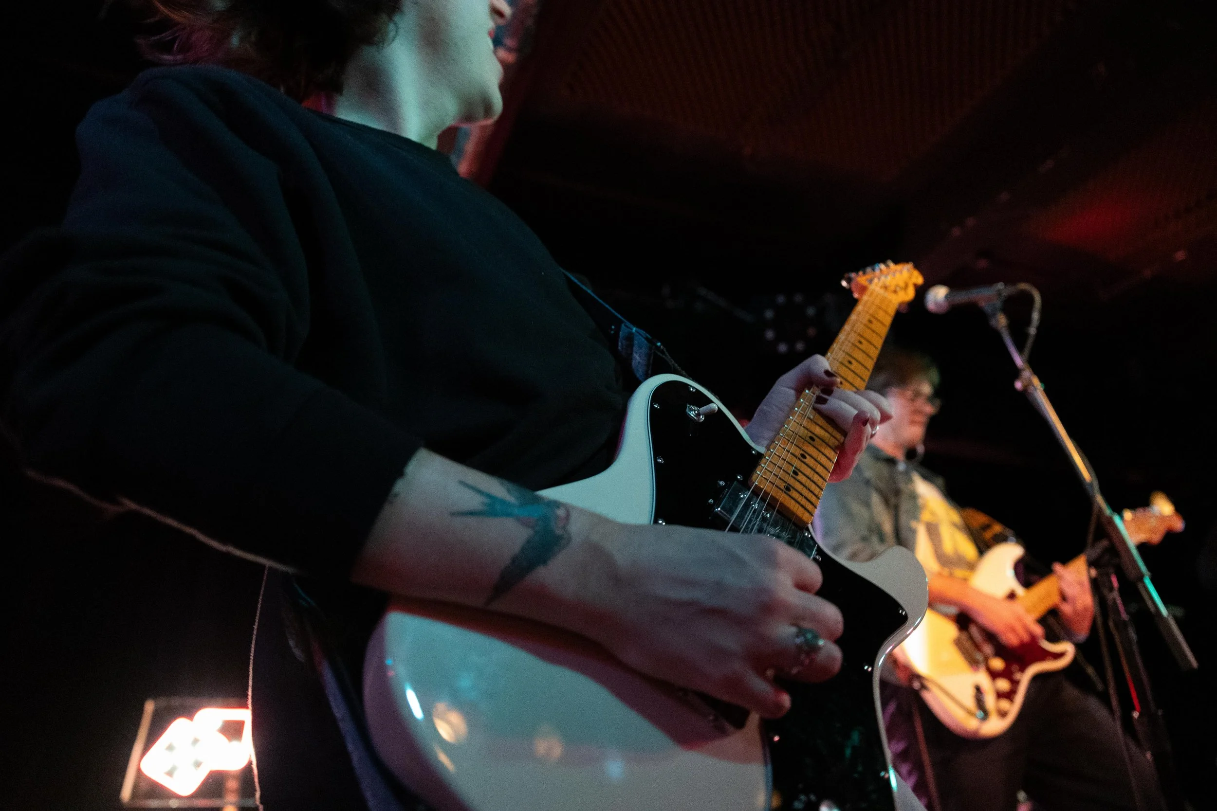 tccb_black cat_252.jpg