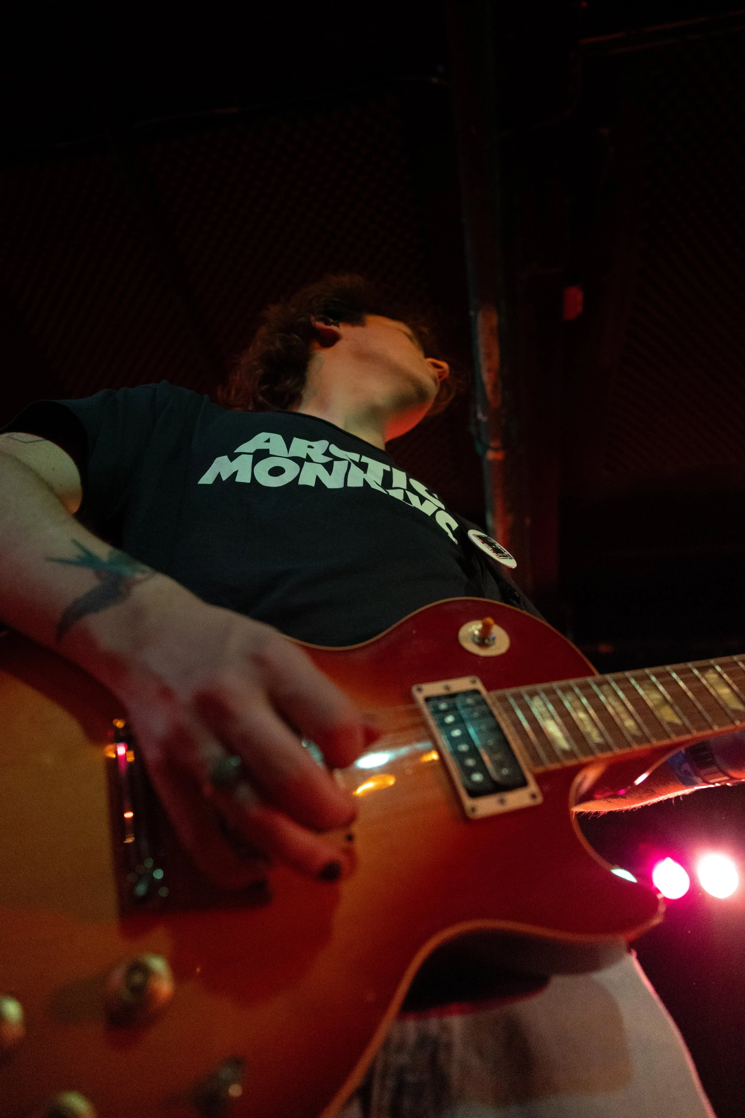 tccb_black cat_1032.jpg