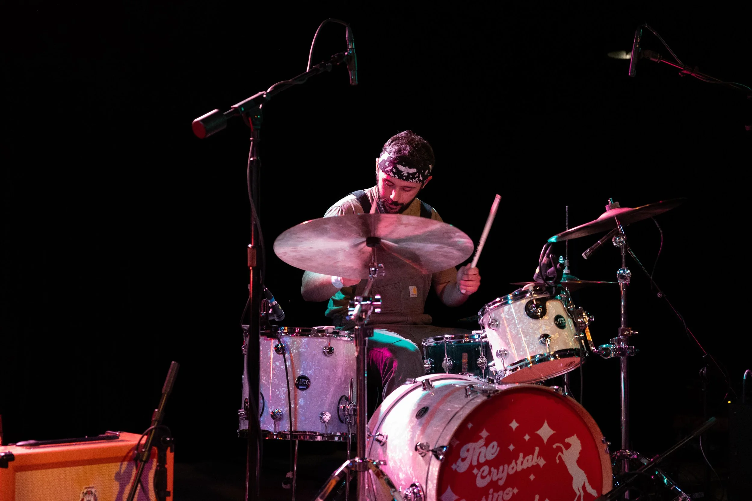 tccb_black cat_523.jpg