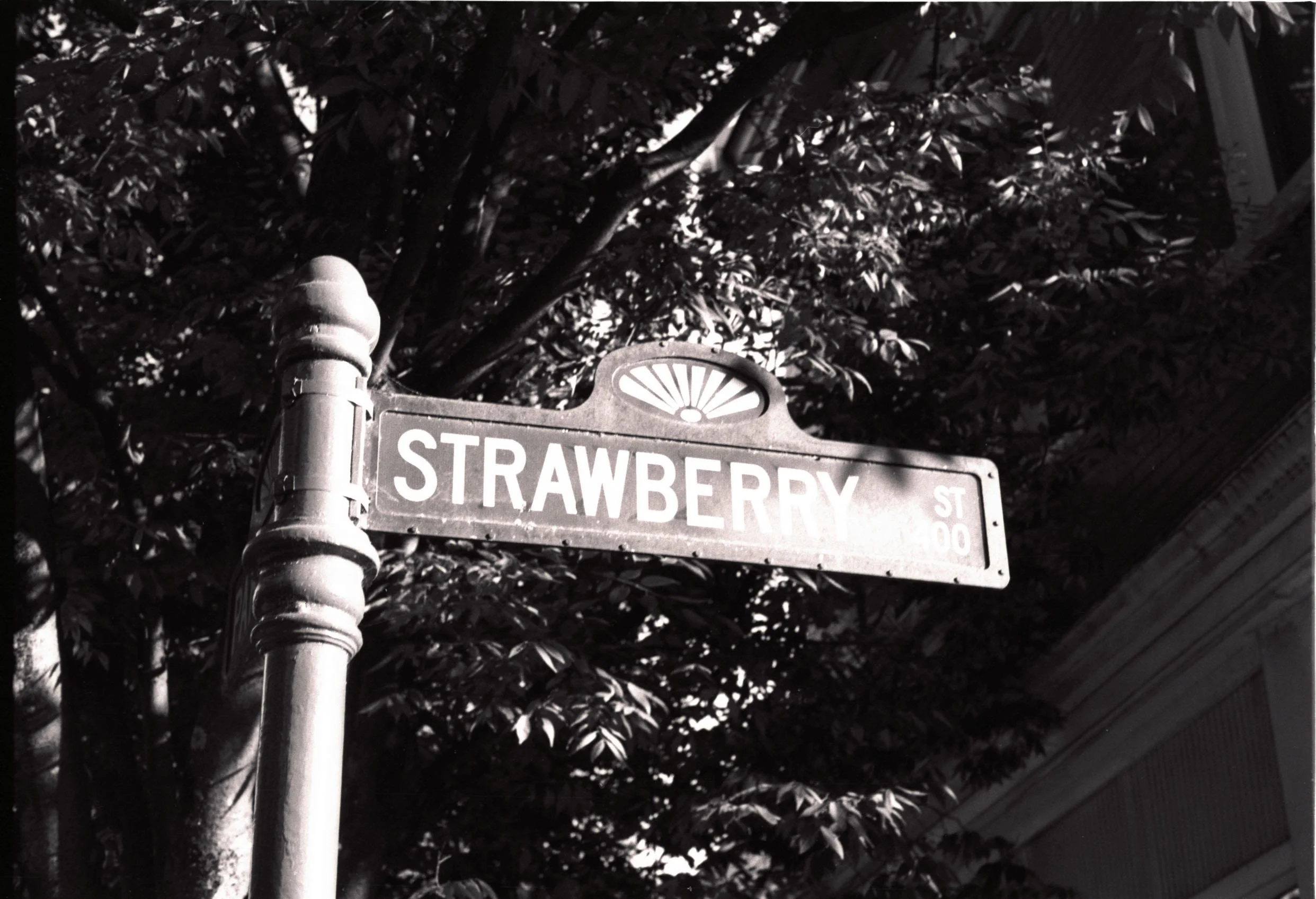 2_Untitled (27) copy.jpg