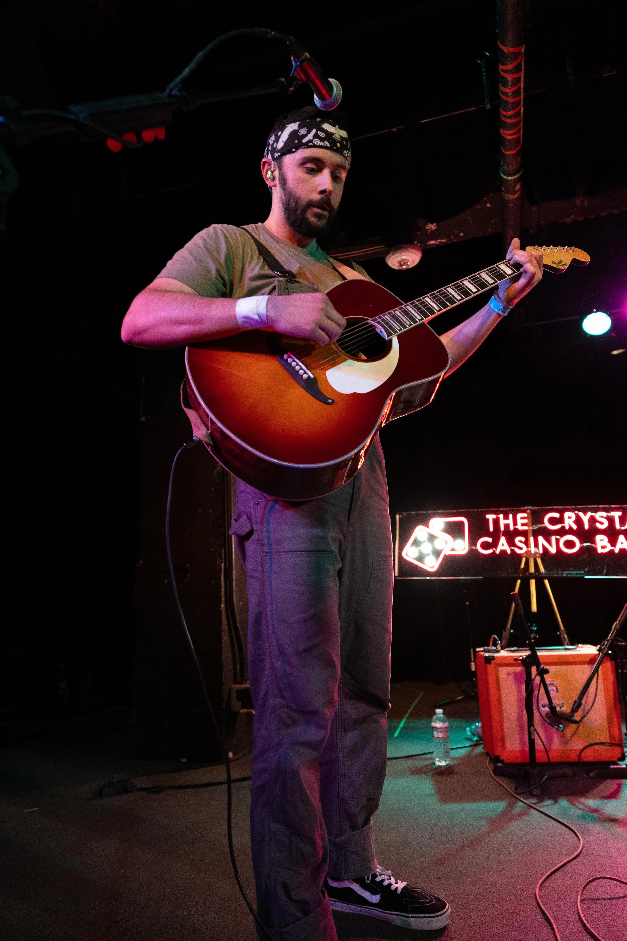 tccb_black cat_565.jpg