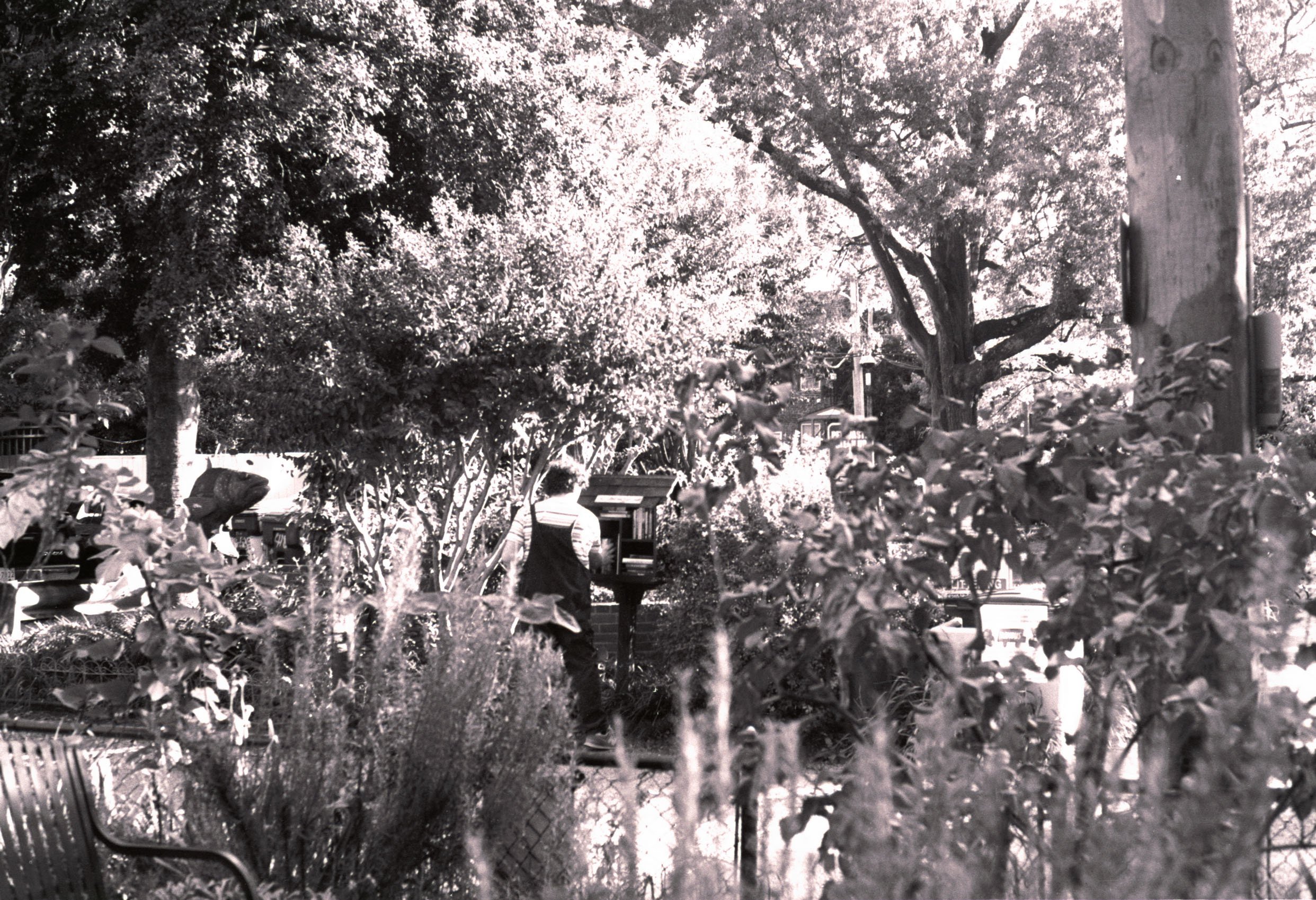 2_Untitled (37) copy.jpg