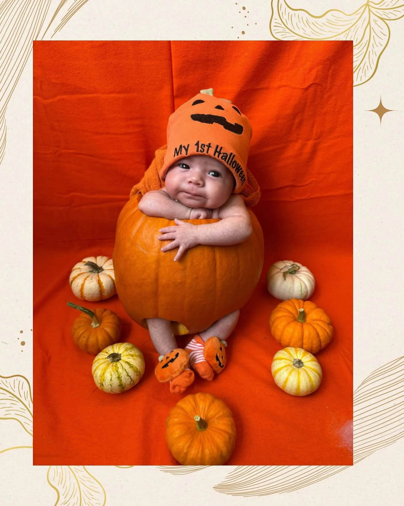 Hello Baby Madelynn makes the cutest little pumpkin! Someone is ready for her first Halloween. 🎃
