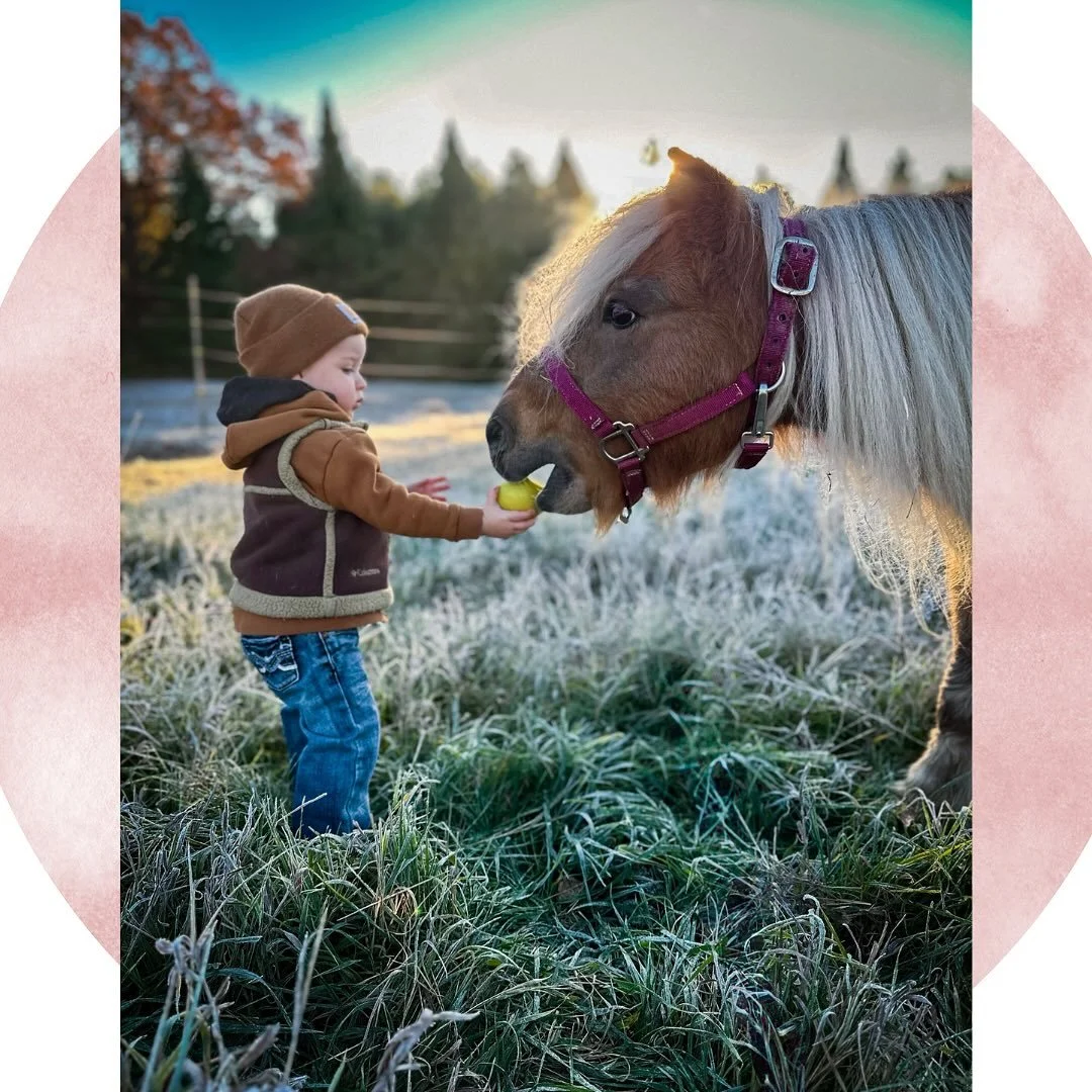 No tricks, just treats for this adorable duo! 🍏Hello Baby Briggs is growing up so fast! 💛