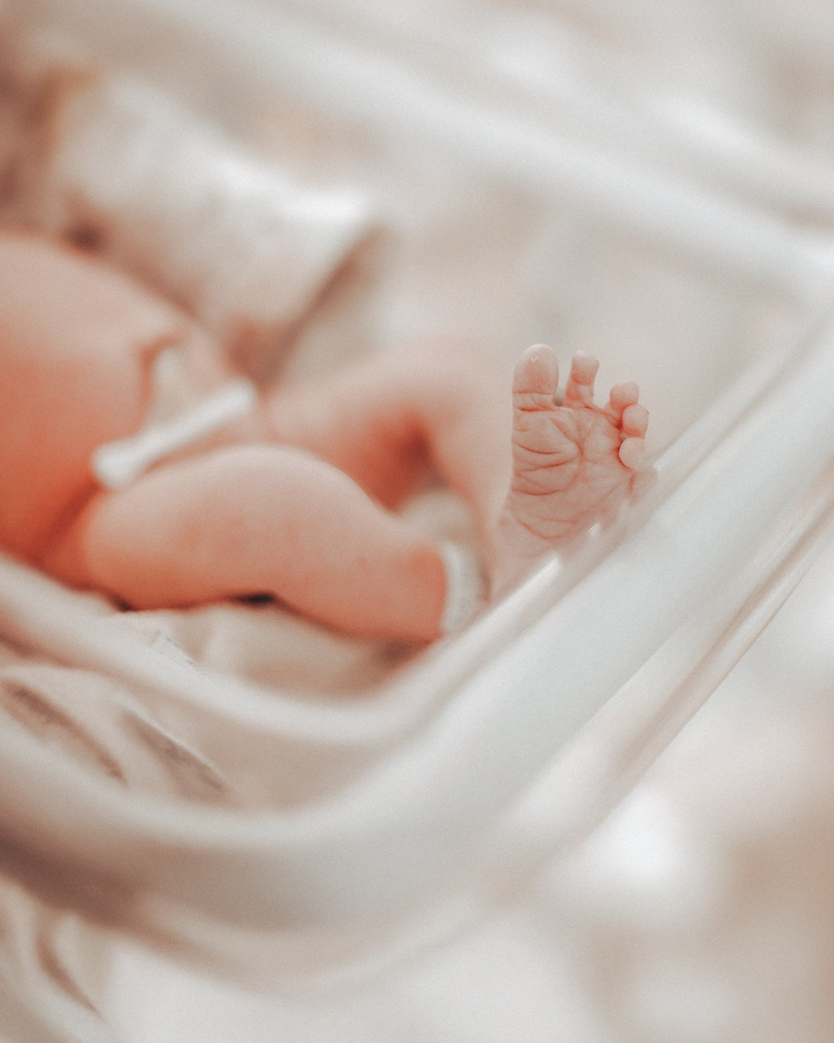 The H and the S family didn't know each other before landing in the same Arizona NICU.

Turns out they're both Hello Baby families from the Milwaukee area.

A few more weeks ahead, and now, someone down the hall and down the road who gets it. 🤍