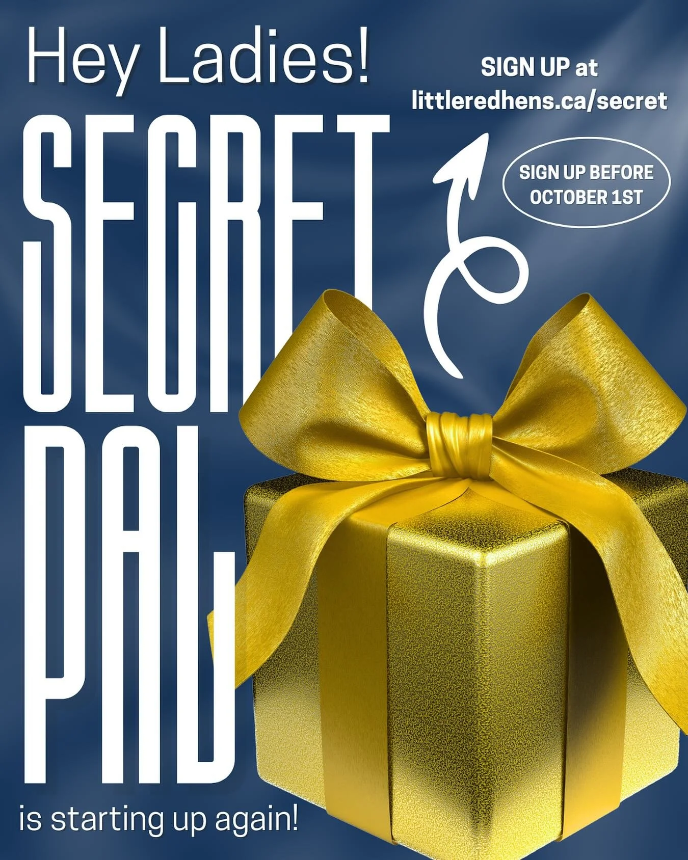 Secret Santa all year long! - when you sign up, someone will secretly give you a gift on your birthday, Mother&rsquo;s Day, Christmas and one other day that you celebrate - and you will secretly do the same for someone else.

Christmas 2026 we will h