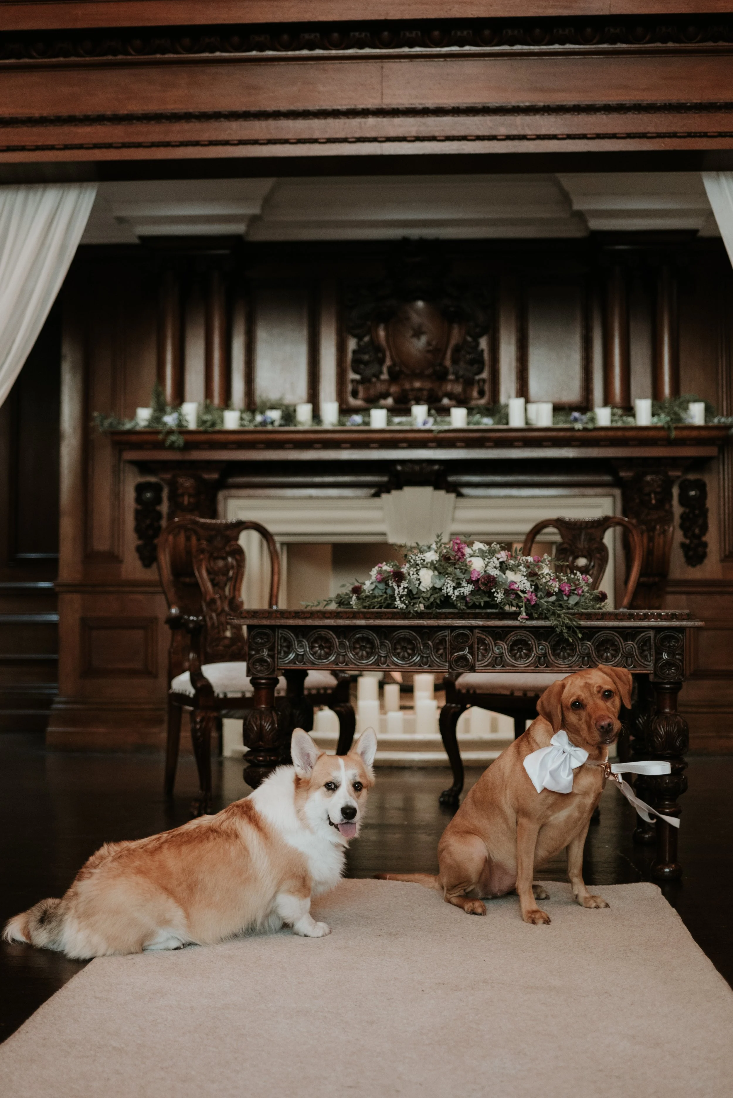 Beamish Hall: Your Dogs Dream Wedding Venue 