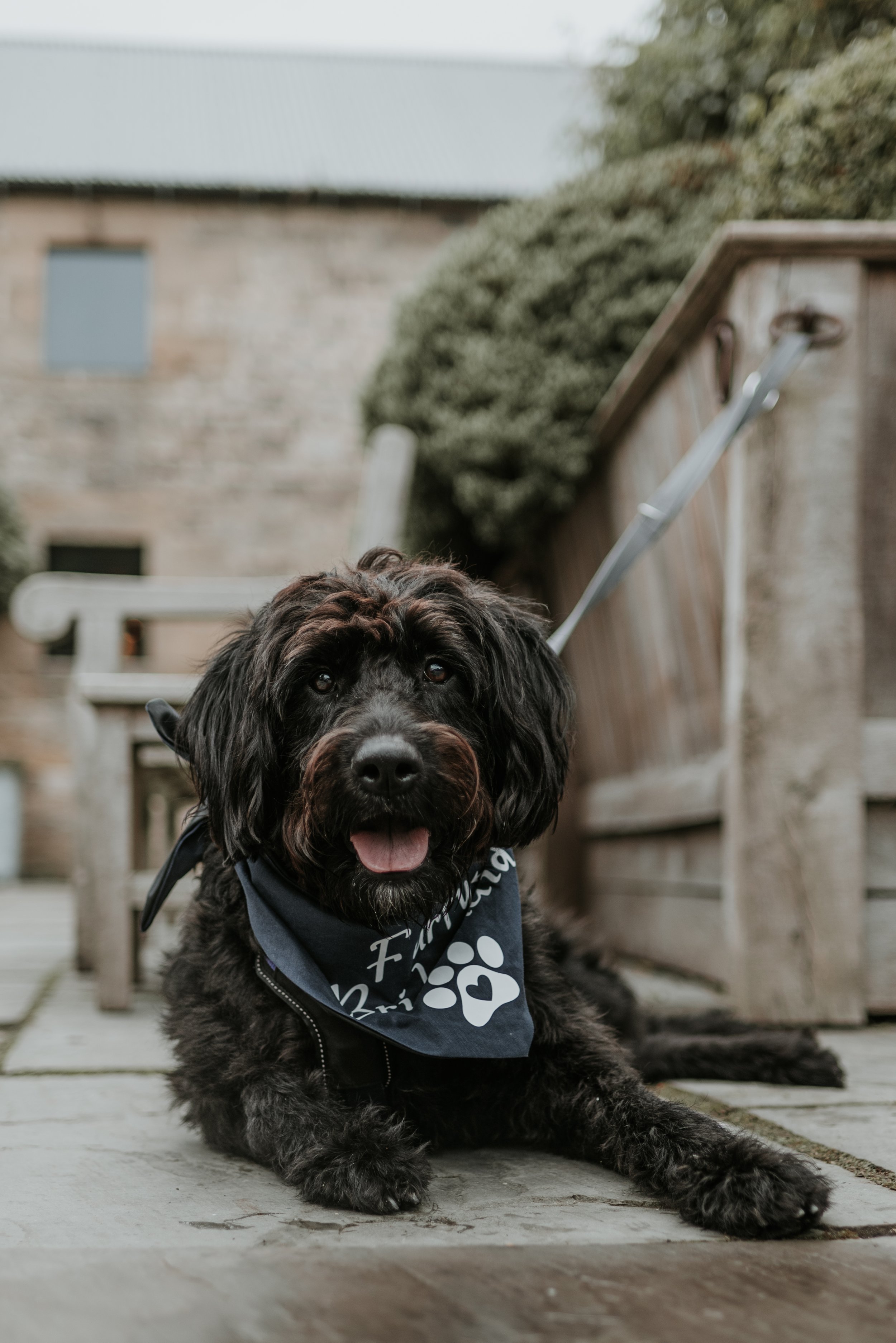 Lollie Healey 1-12.jpeg