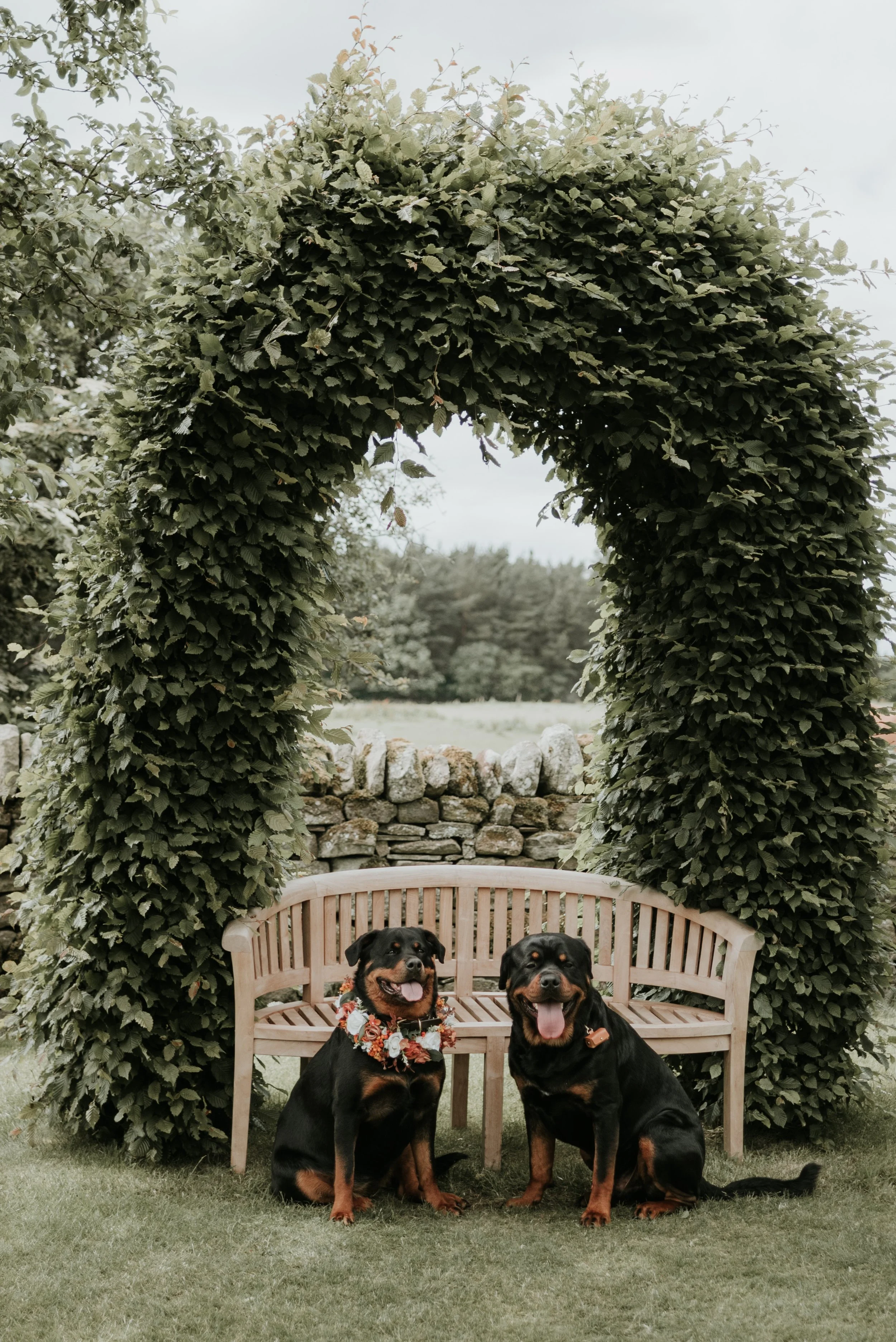 Nova & Rex HB-57.jpeg