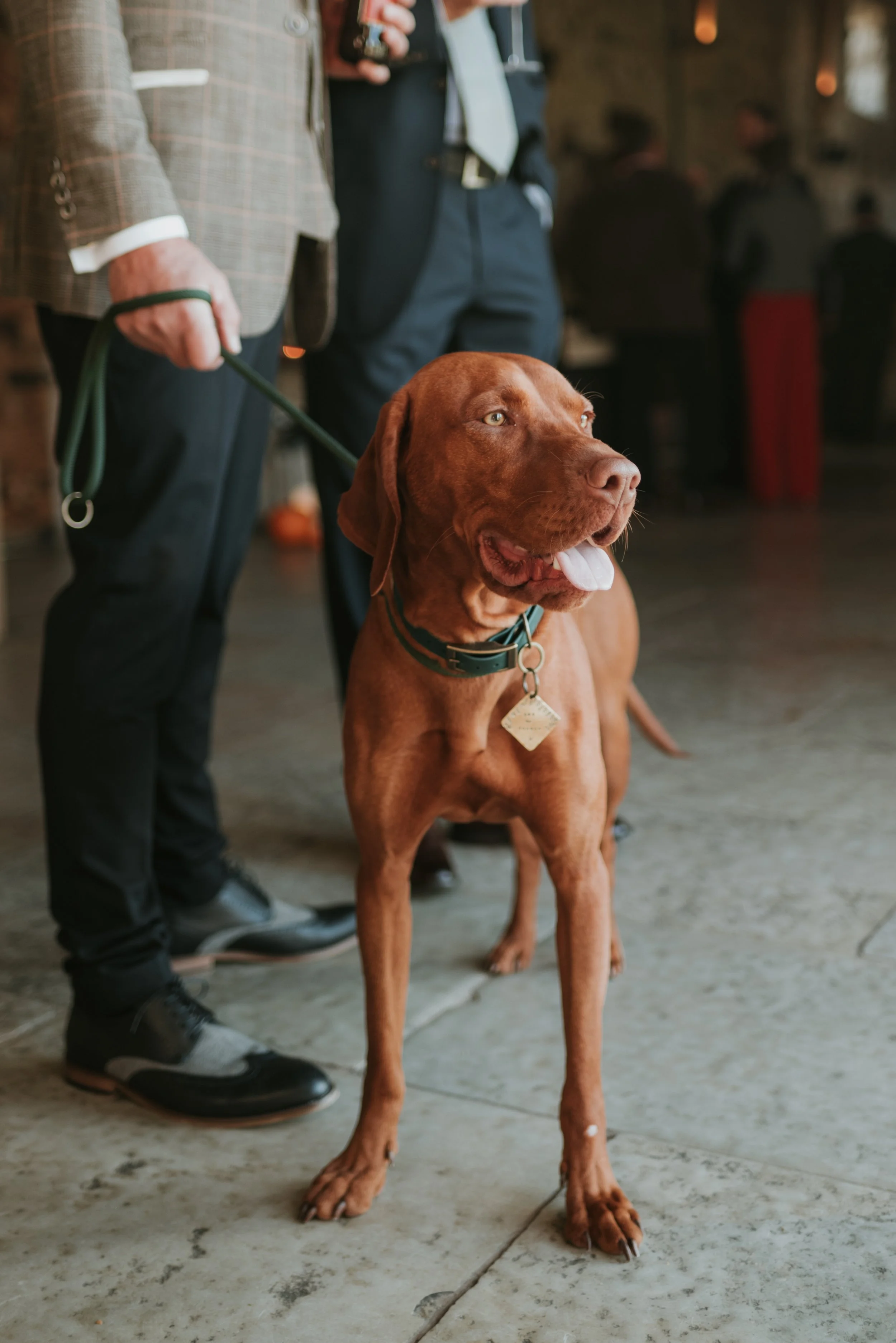 Sam and Hugo-56.jpeg