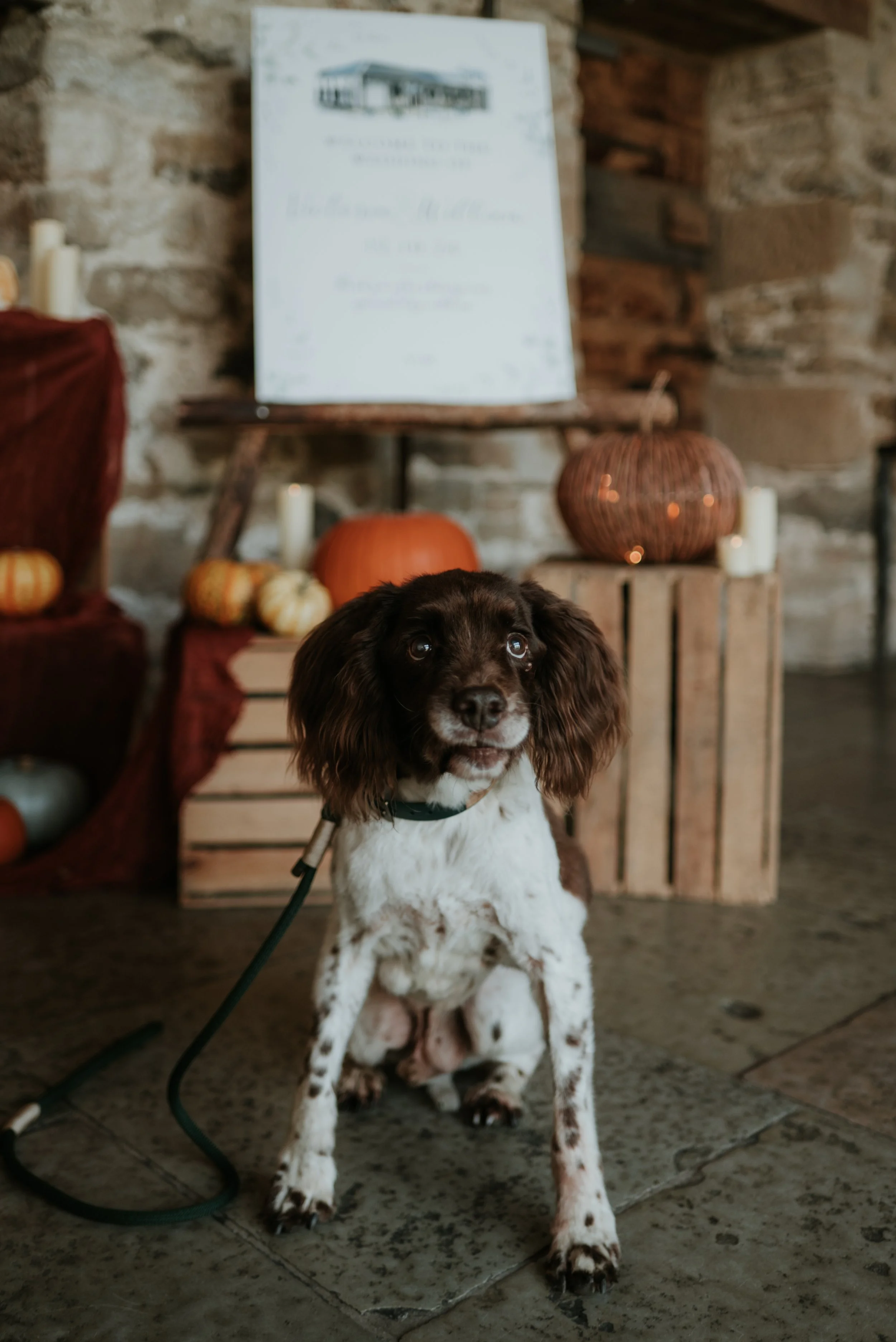 Sam and Hugo-53.jpeg