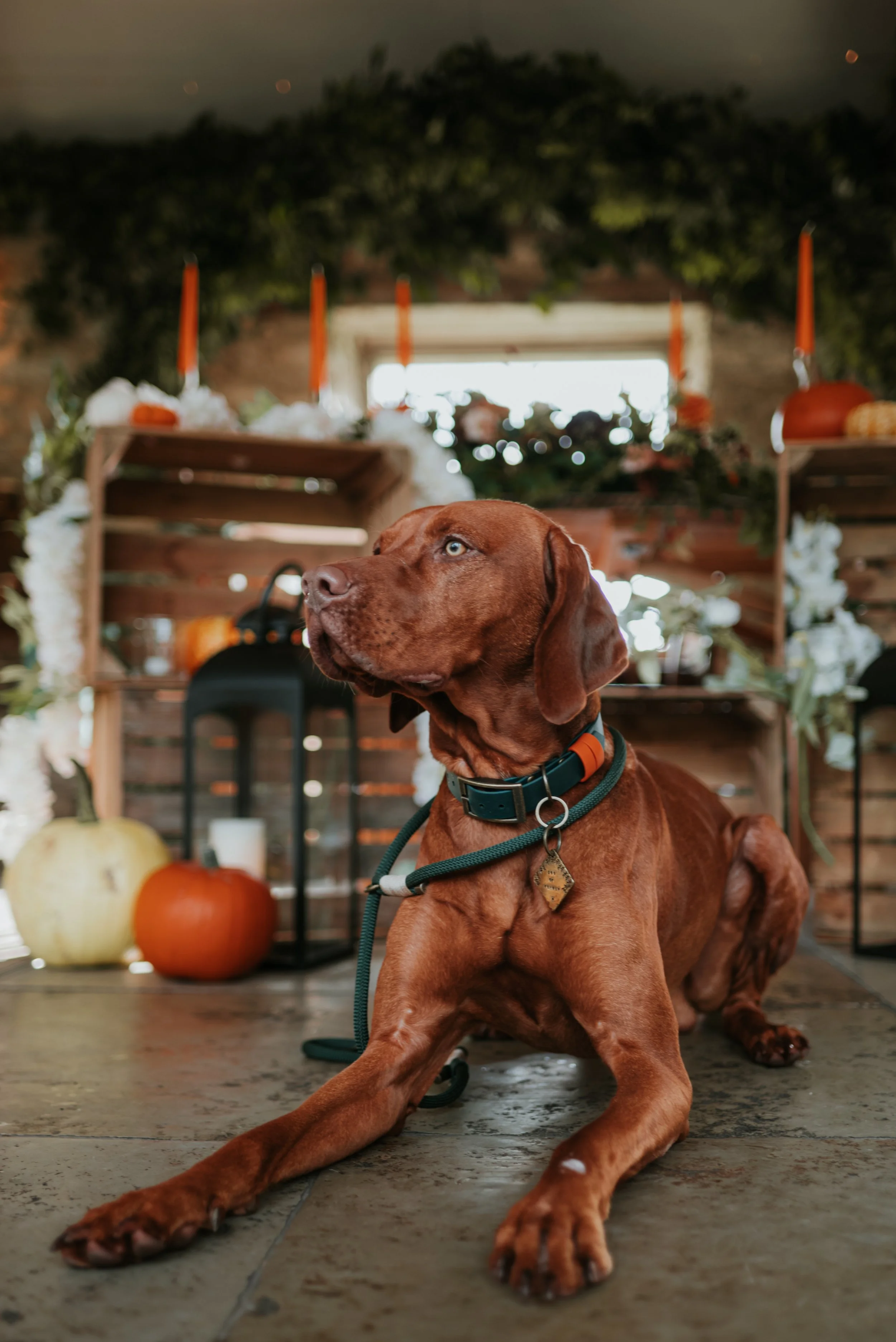 Sam and Hugo-36.jpeg