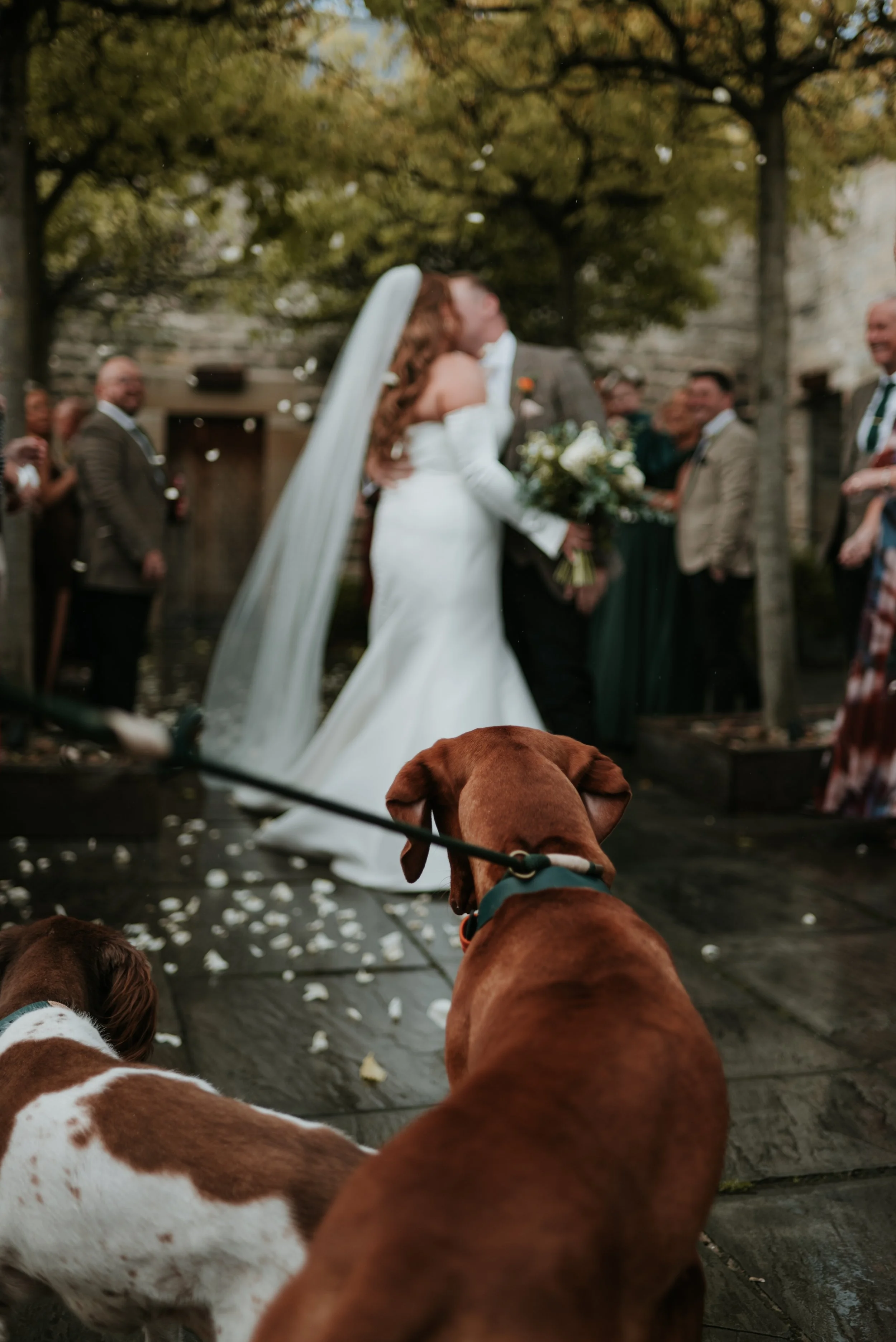 Sam and Hugo-27.jpeg