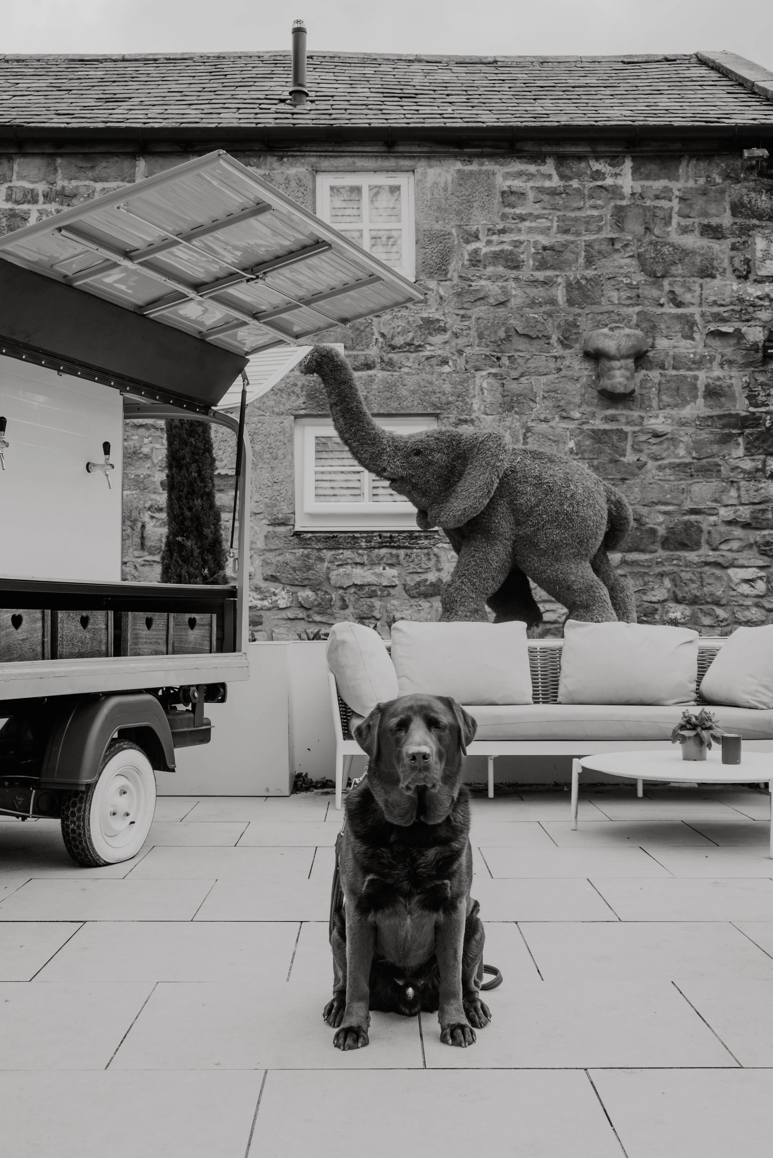 Ozzy WH Final edit_-47.jpeg