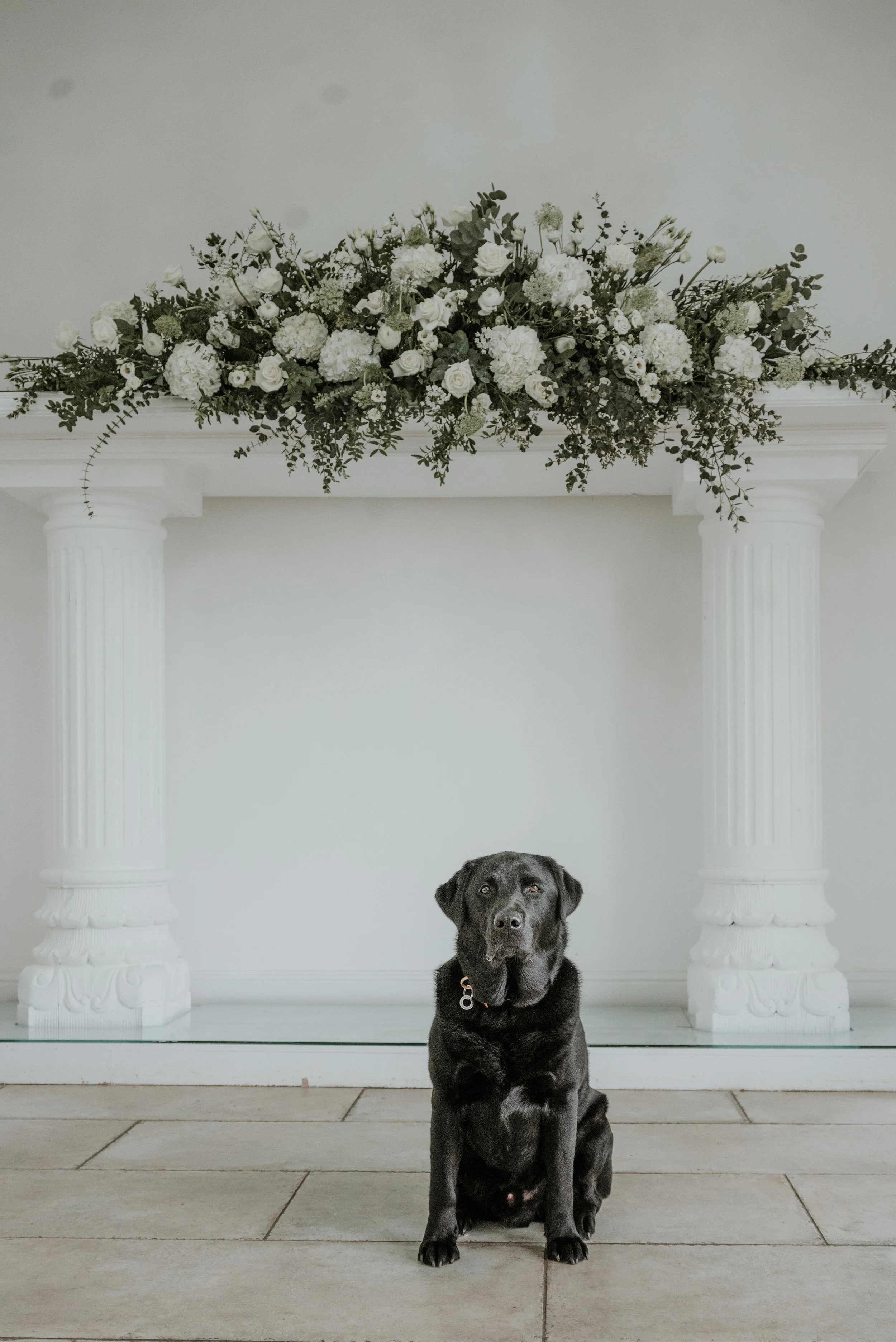 Ozzy WH Final edit_-38.jpeg