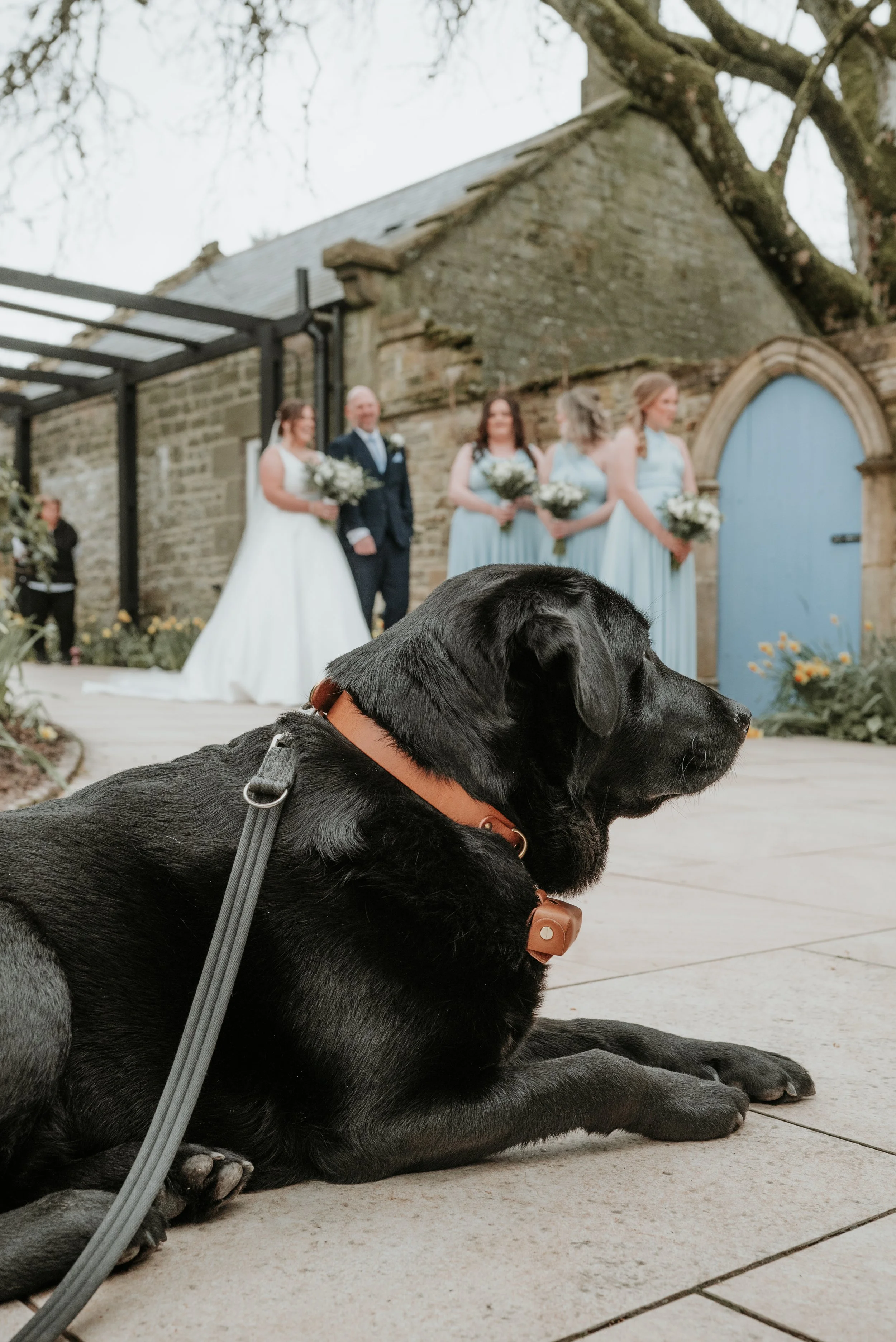 Ozzy WH Final edit_-9.jpeg