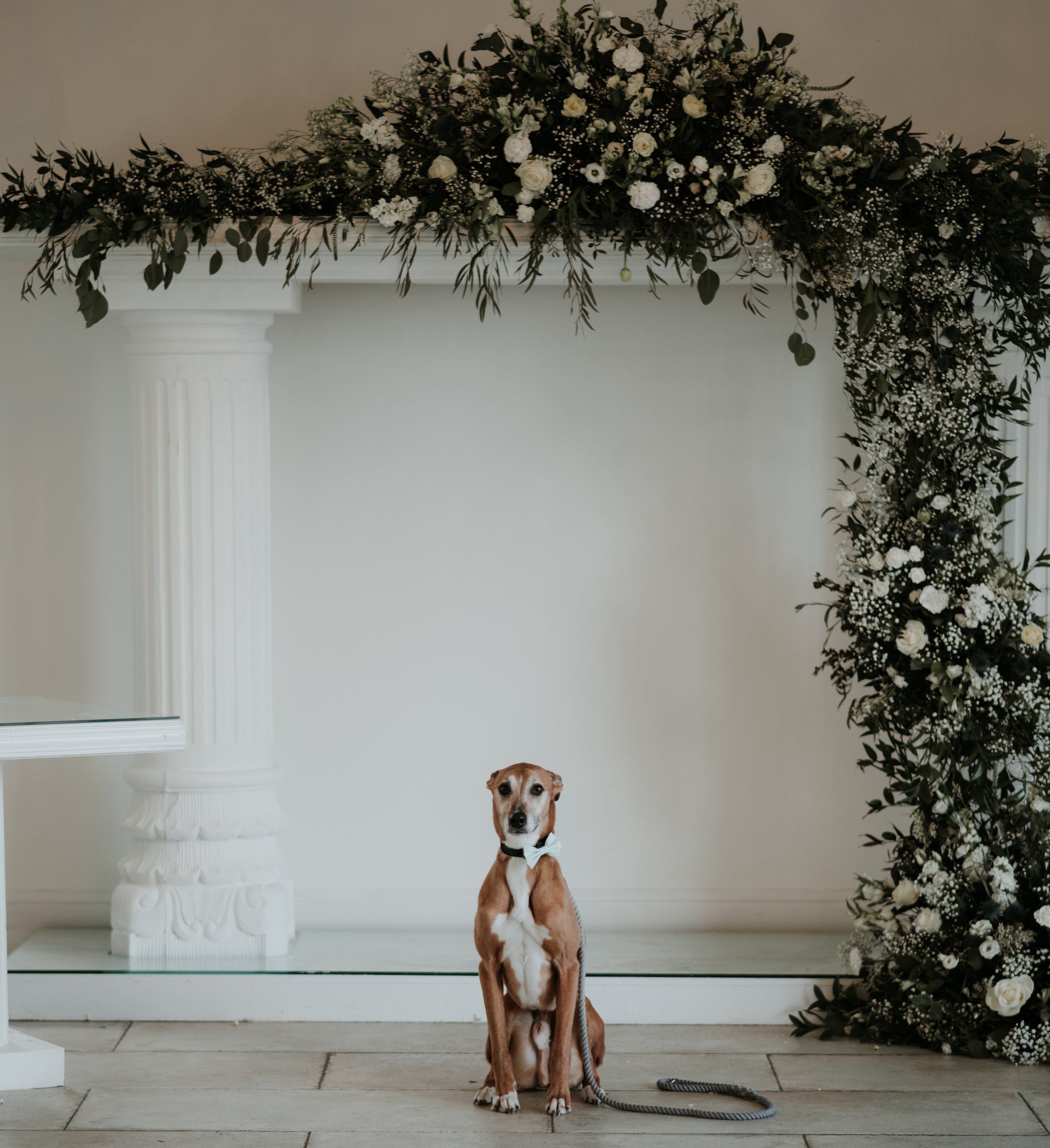 Ted & Brodie-33.jpeg