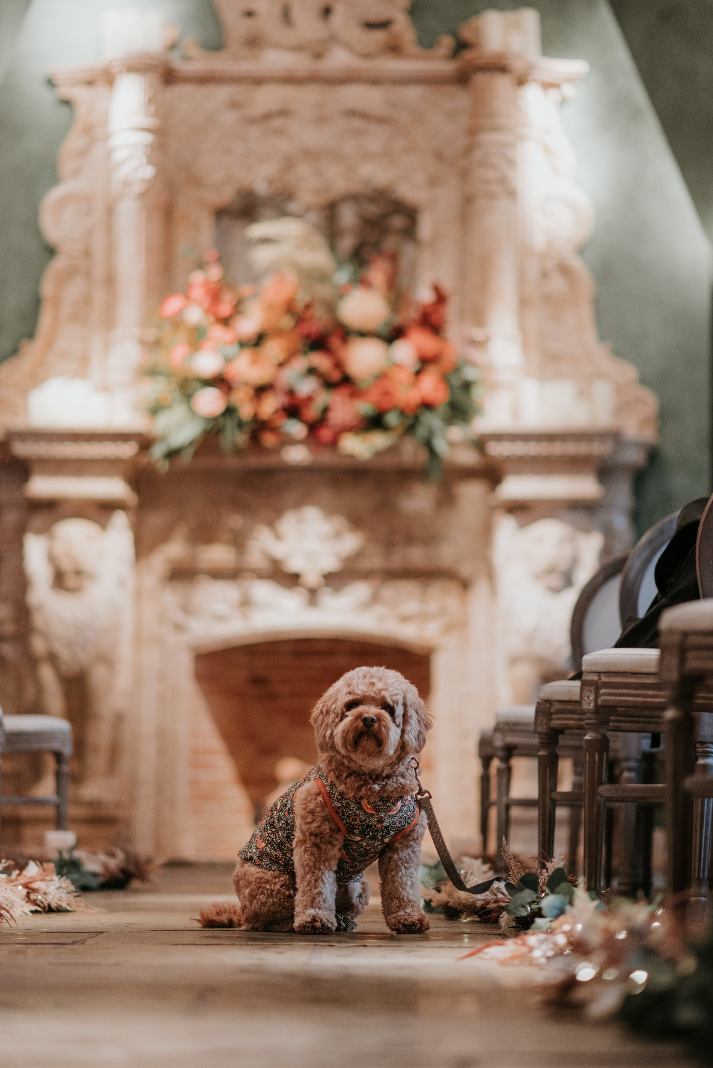 Rupert edit missing-10.jpeg