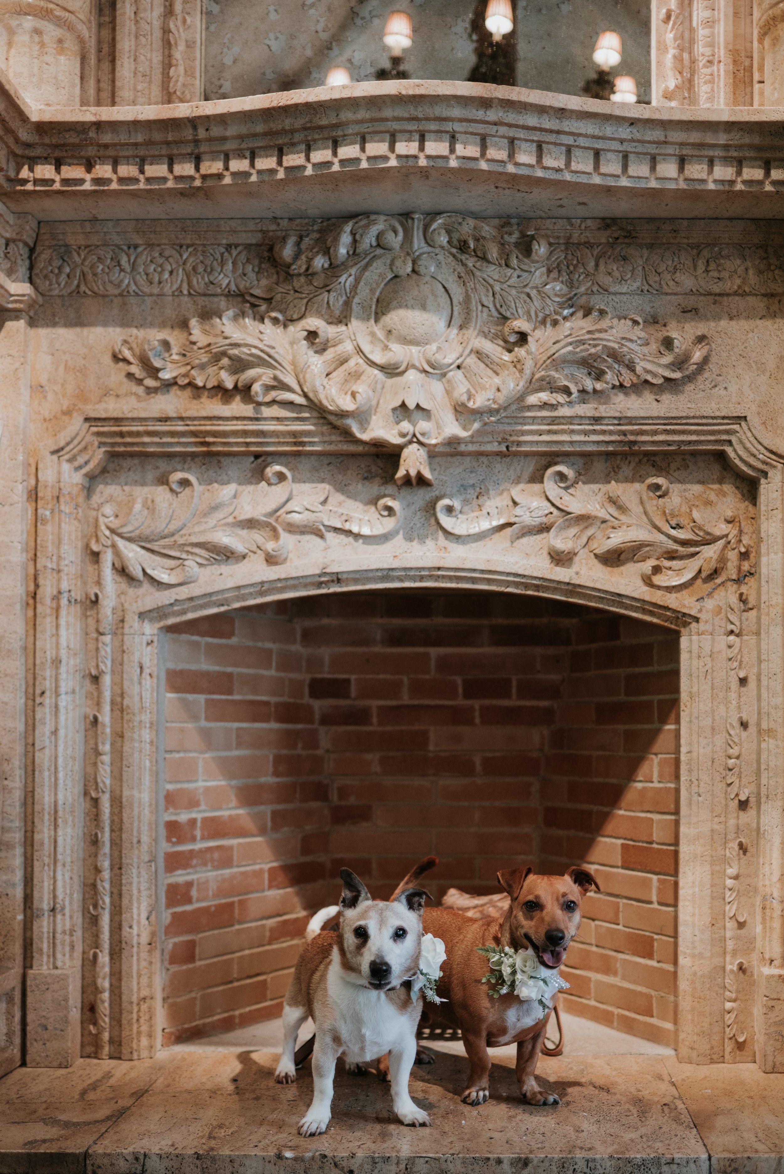 Frankie and Reggie_-74.jpeg