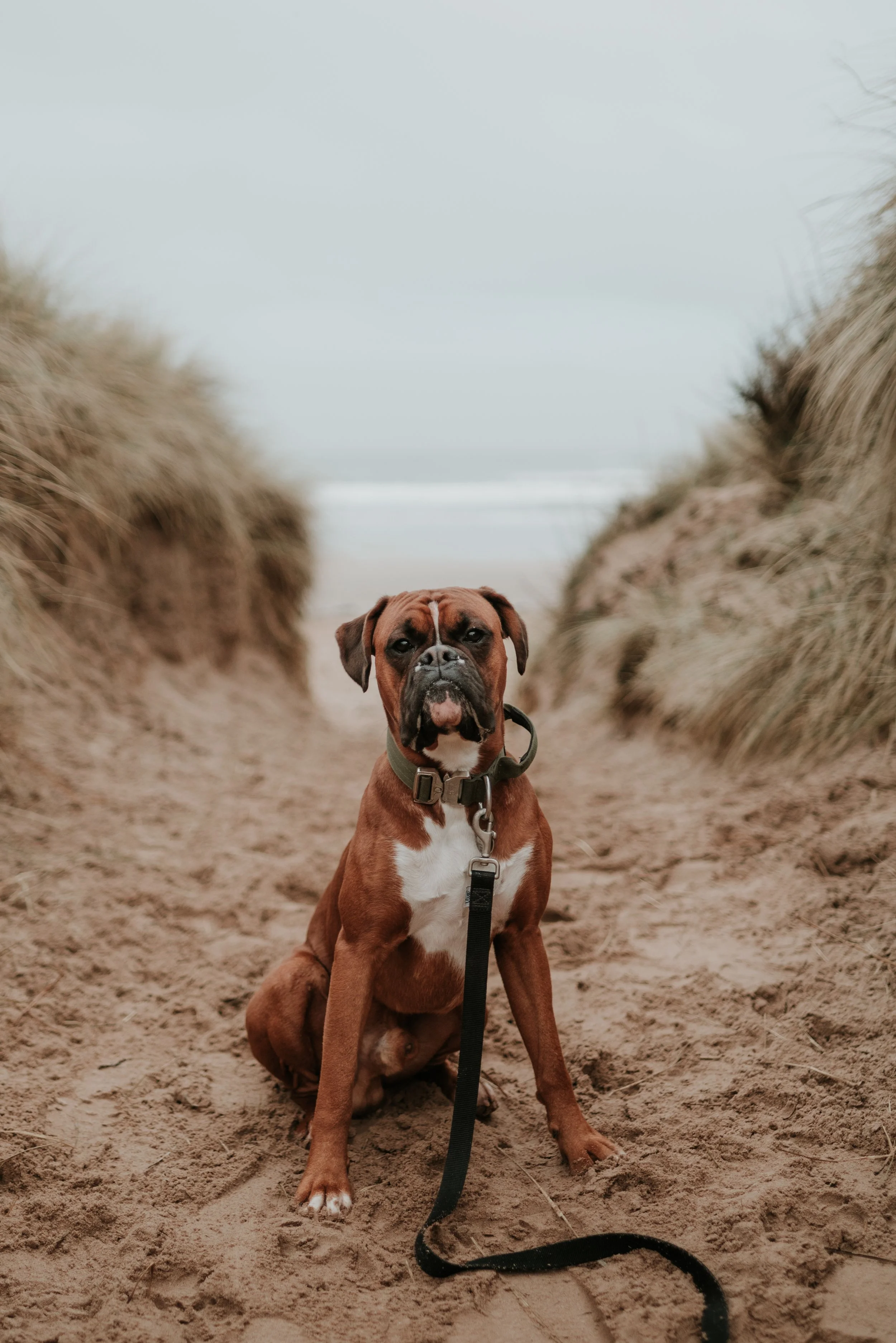 bailey NH 8th DEC_-40.jpeg